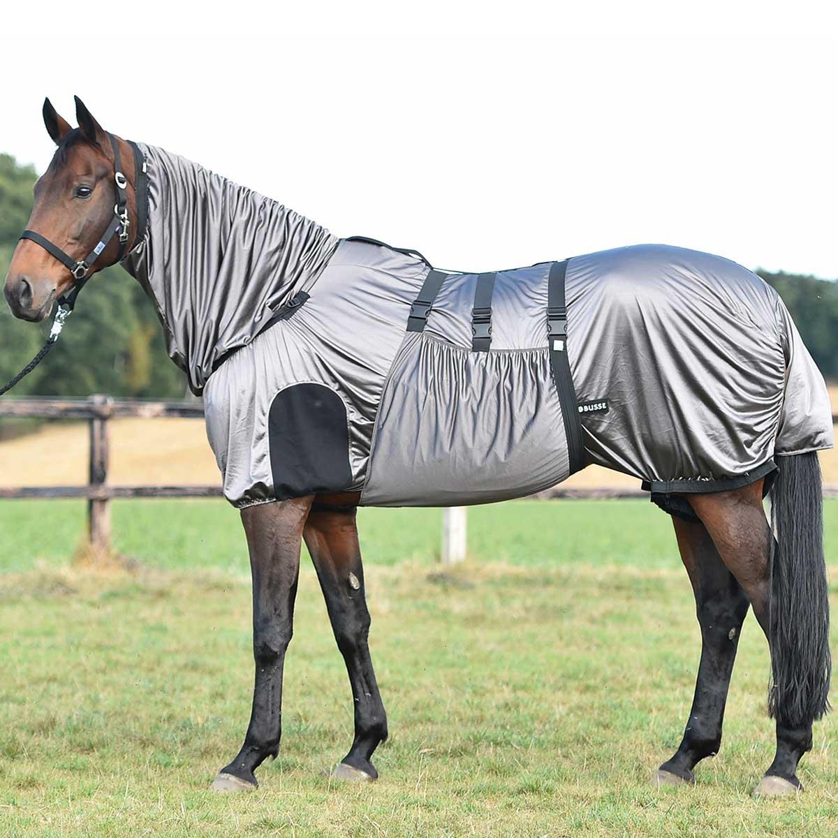 anthracite