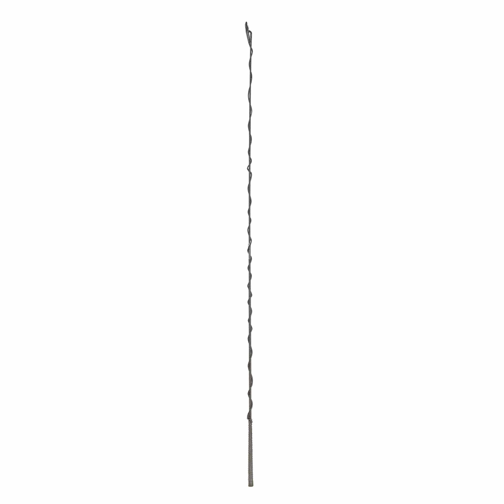 BUSSE Lunging Whip STECKBAR 180 black