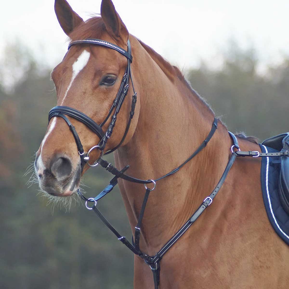 BUSSE Breastplate BASIC