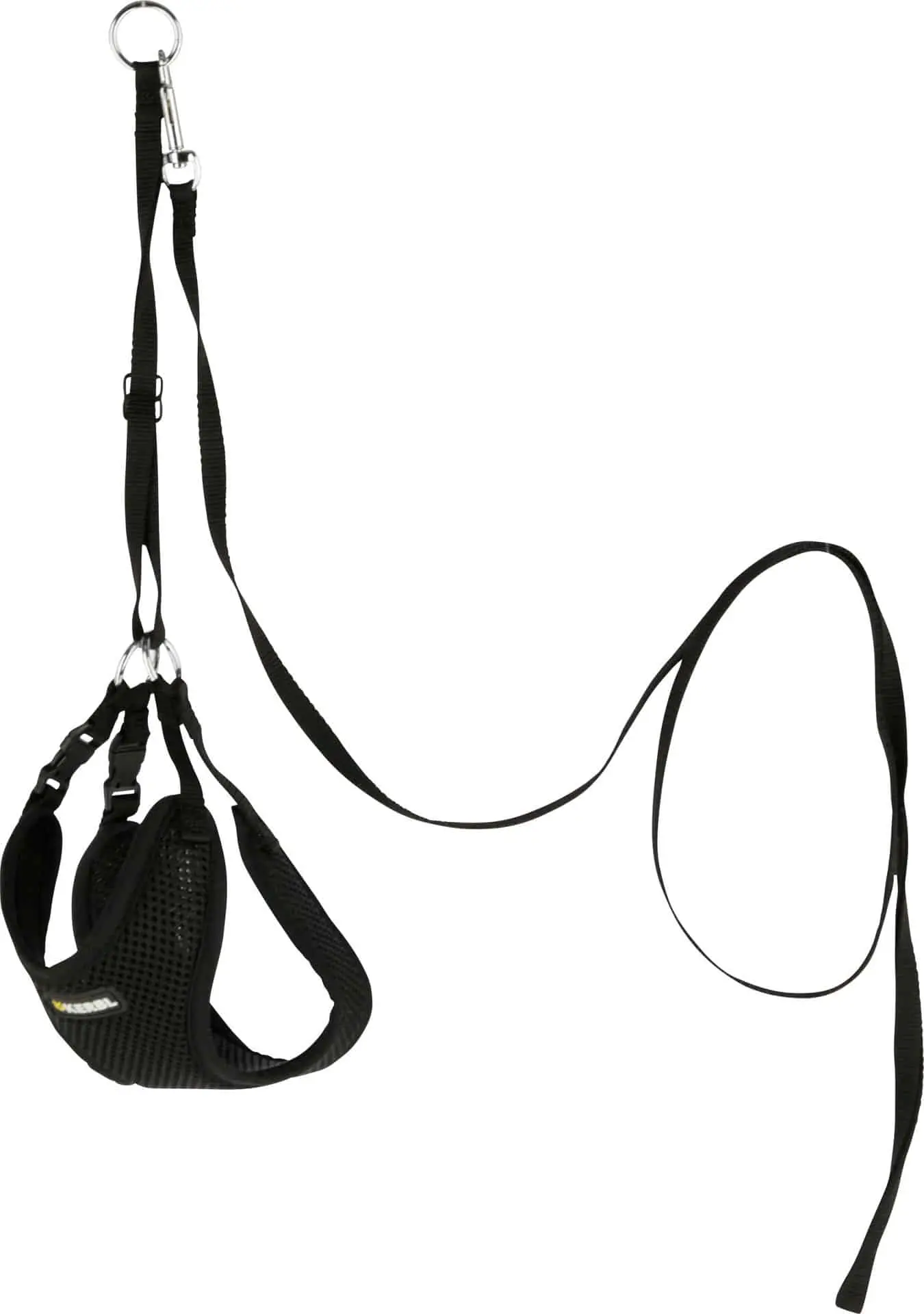 Puppy Harness with Leash