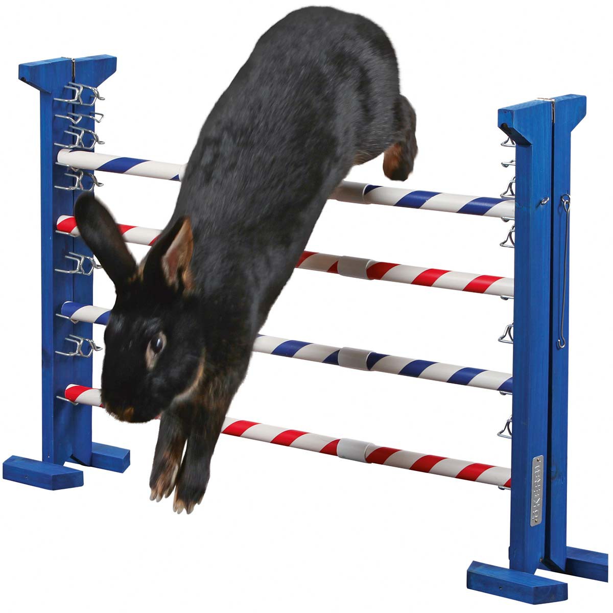 Agility Combo Jump Height 53 cm