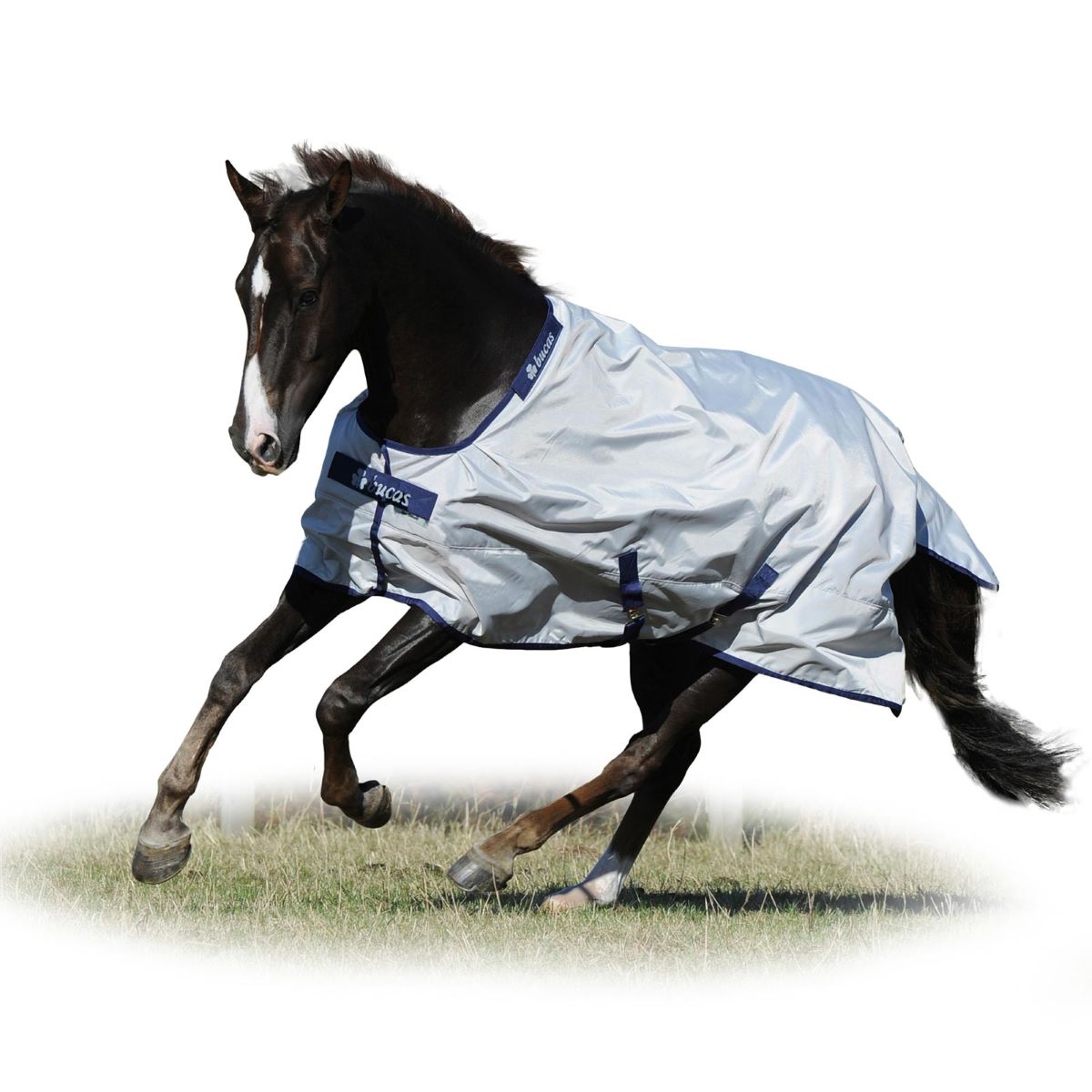 Bucas Sun-Shower Horse Rug