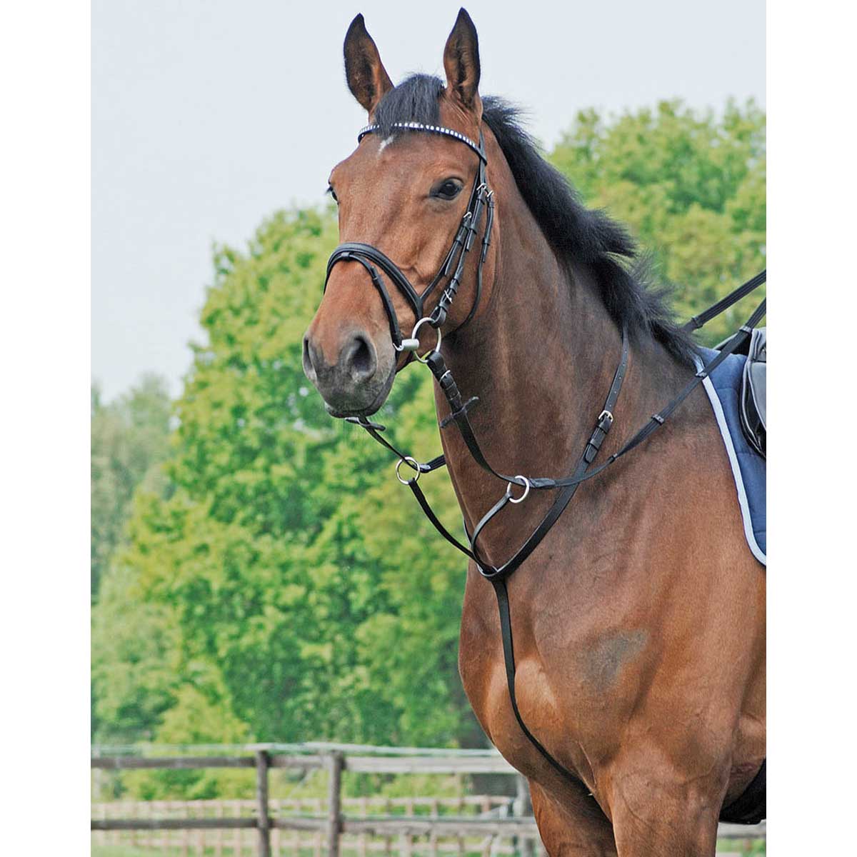 BUSSE Martingale BASIC