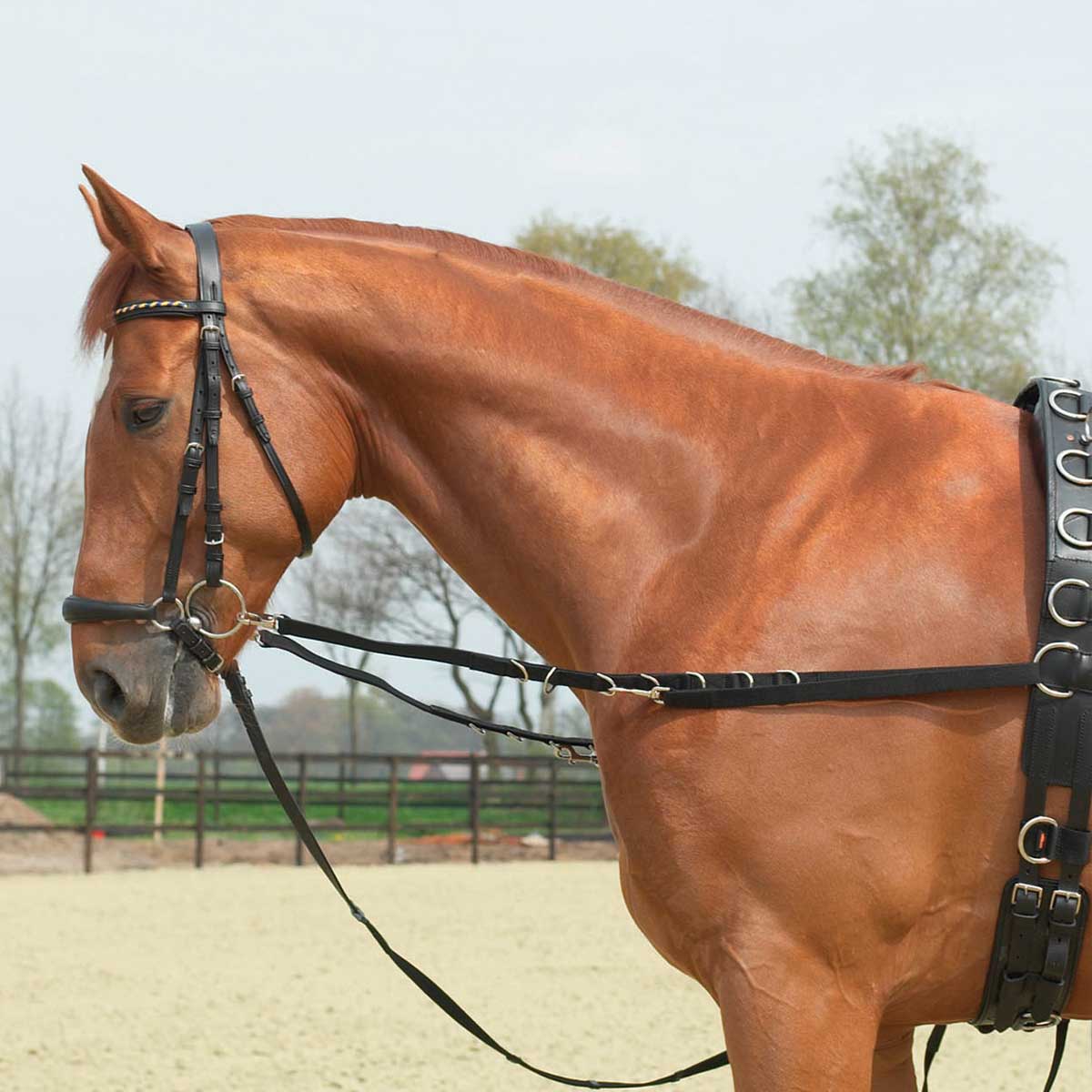 Side-Reins OESEN-STARR