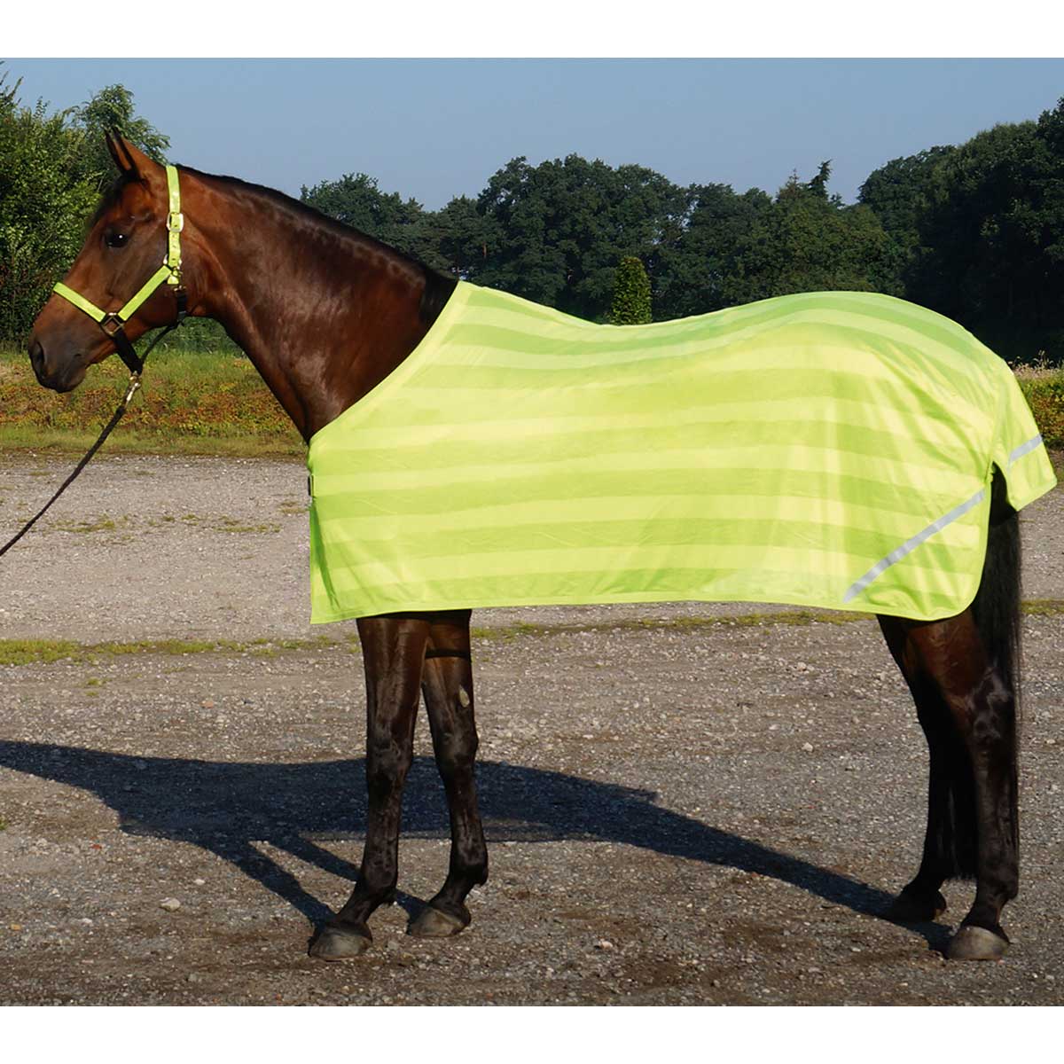 BUSSE Horse Rug REFLECTION