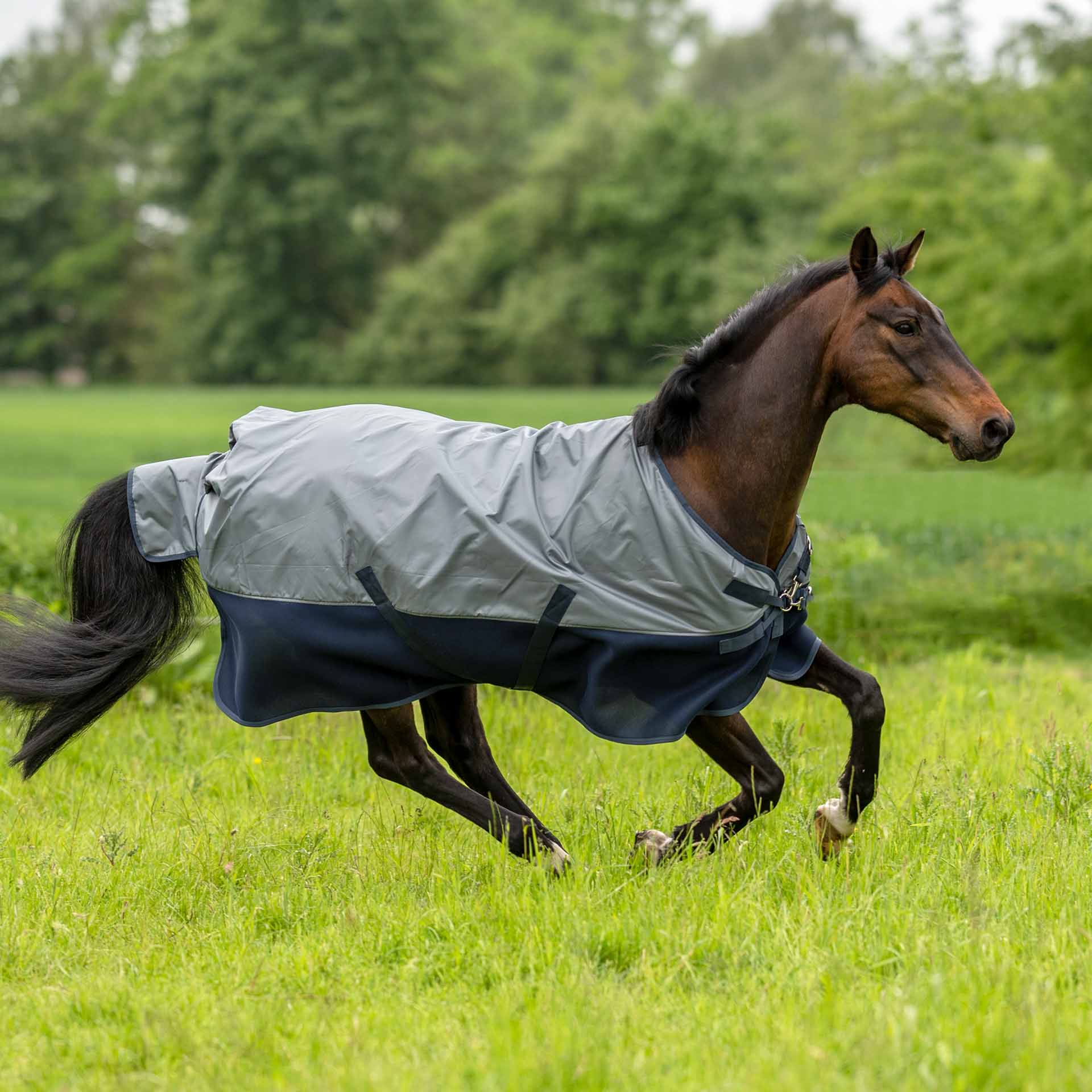 BUSSE Turnout Rug 3D AIR Rain 125 gray/navy