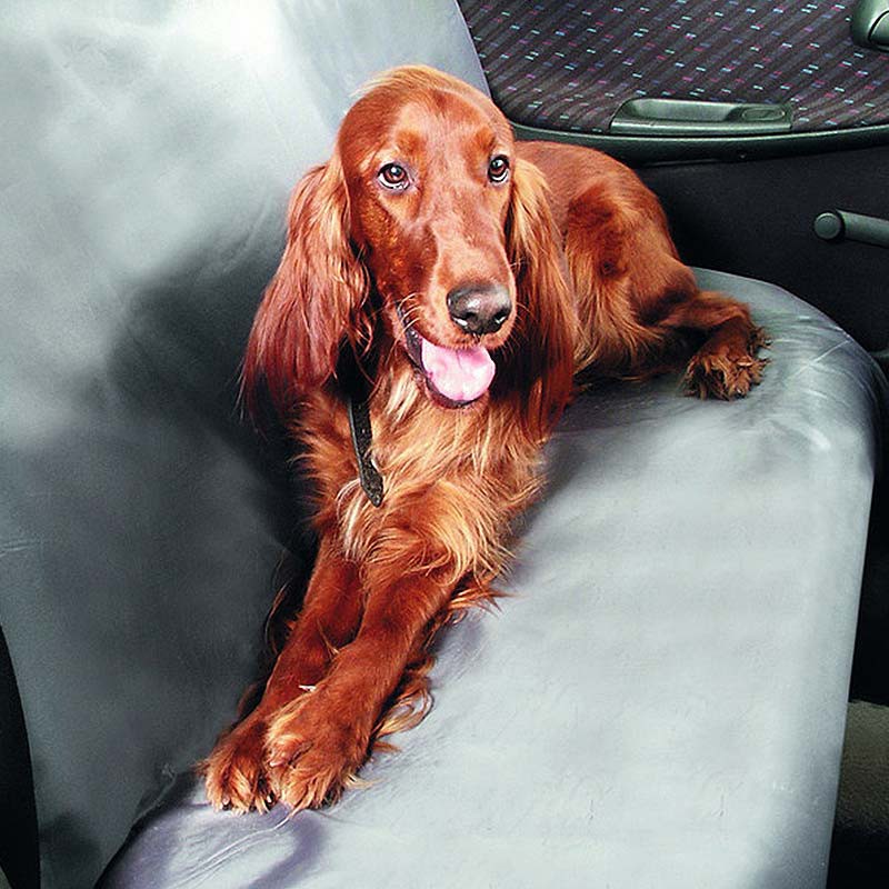 Car Back Seat Blanket CAR GUARD