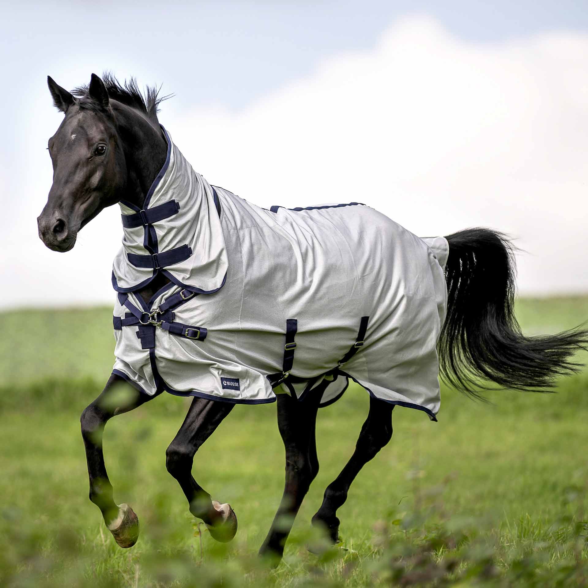 BUSSE Turnout Fly Sheet SUPERB 115 silver