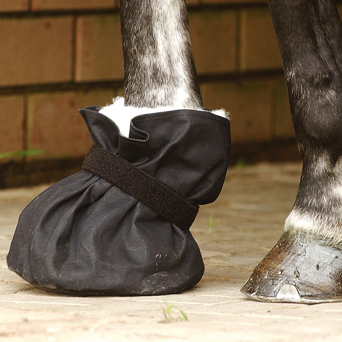 BUSSE Poultice Boot