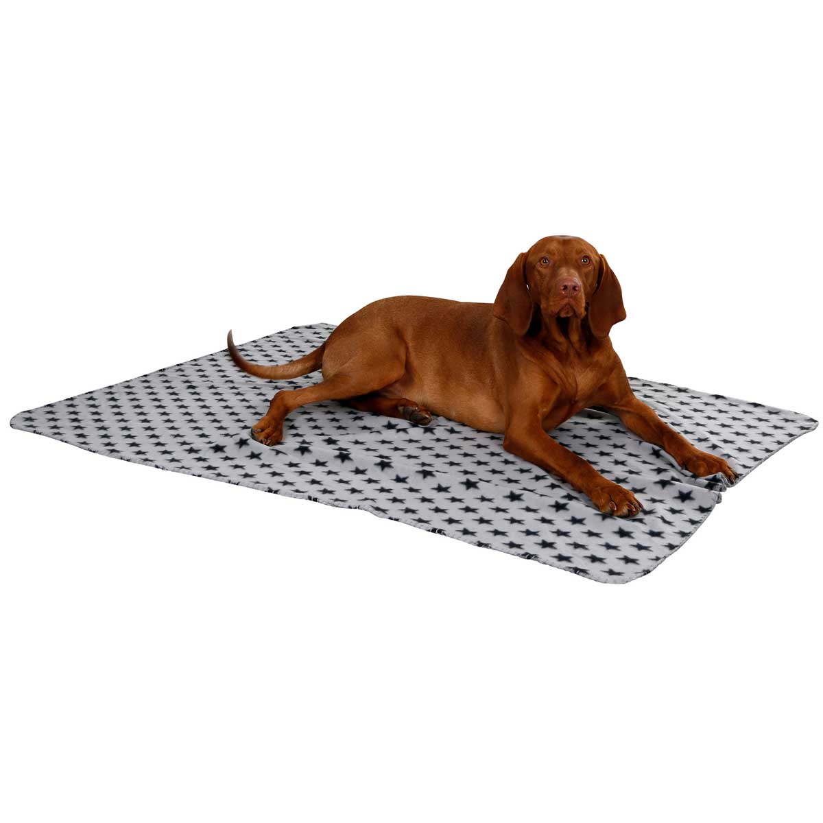 dog blanket Stella 14x100cm grey
