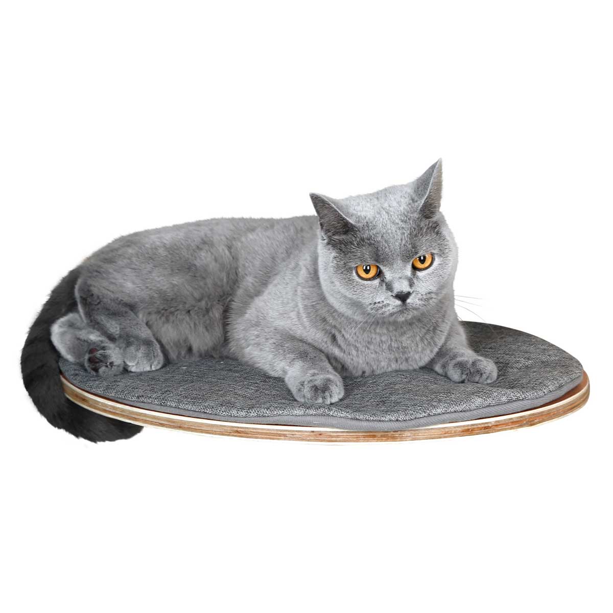 Wall-Mounted Pet Bed Tofana 50x35x1,5cm, grey