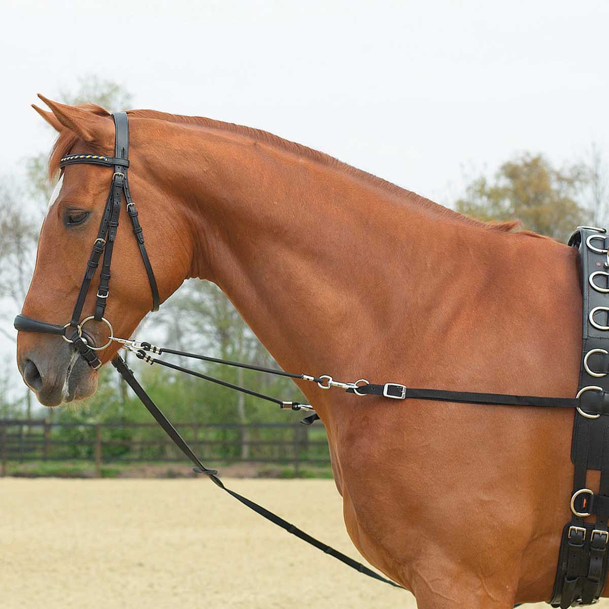 Side-Reins ELASTIK