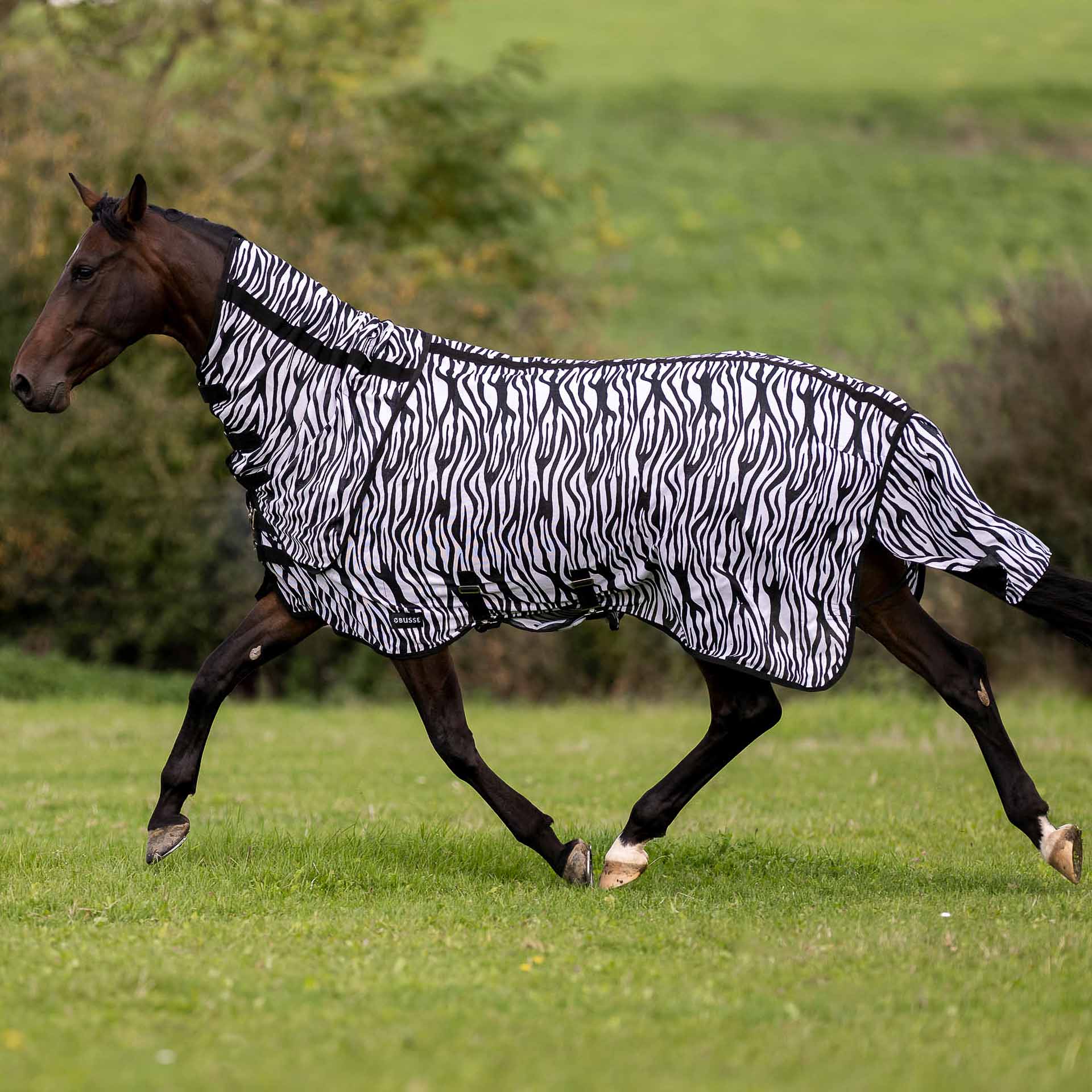 BUSSE Turnout Fly Sheet COMFORT FLEXI ZEBRA 115 zebra