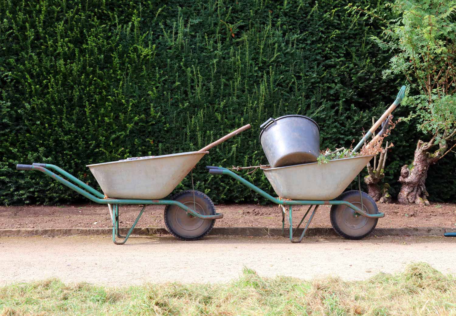 Transport Equipment