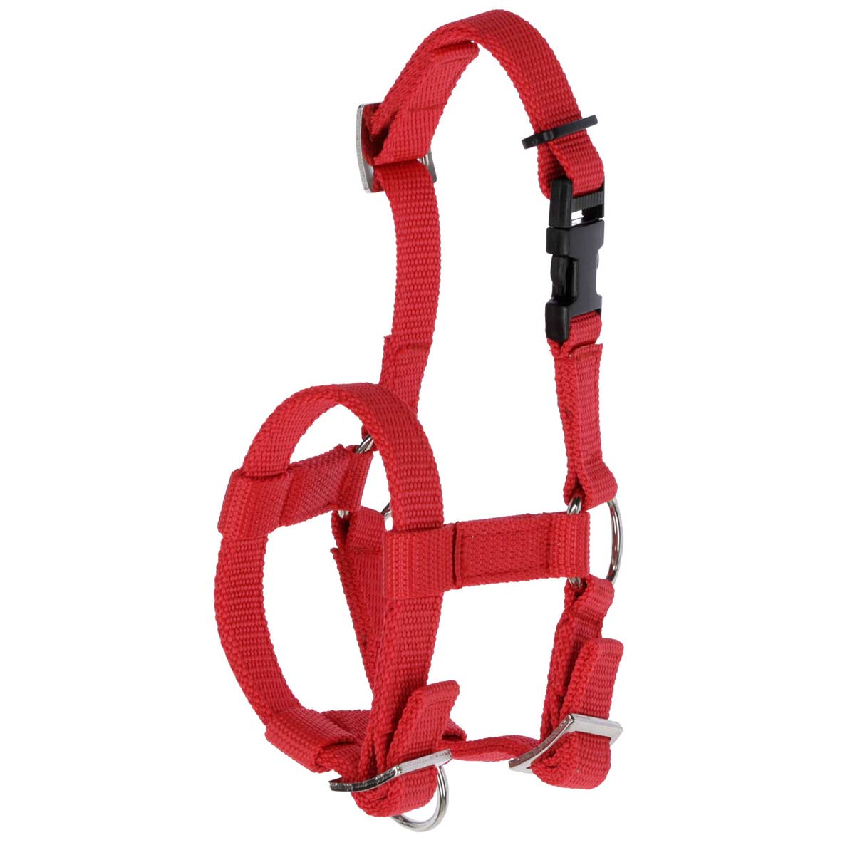 Alpaca halter red