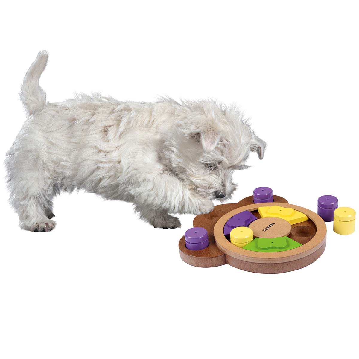 Thinking and Learning Toy PAW 22,5x23,5x4cm