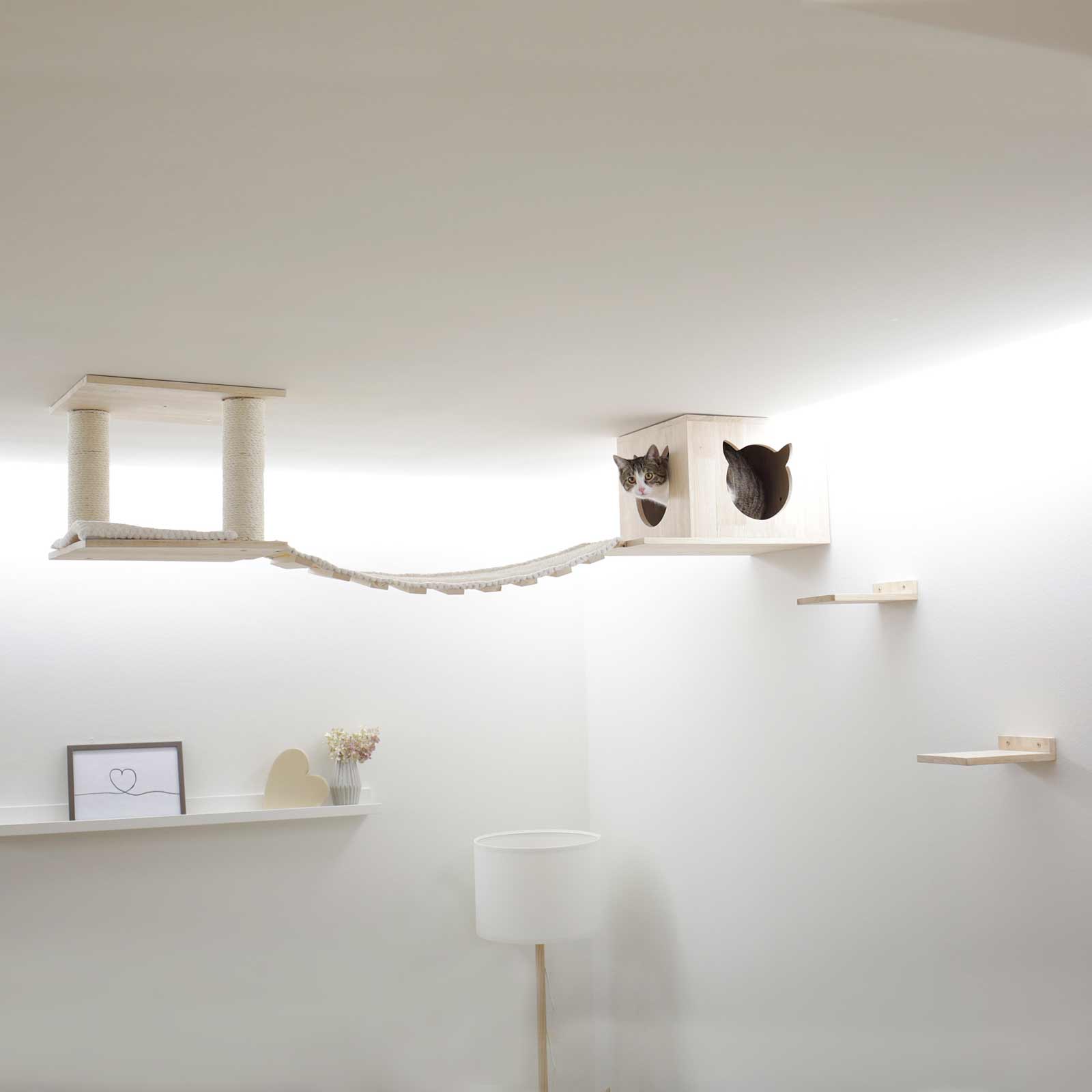 Climbing wall Cat playground Top