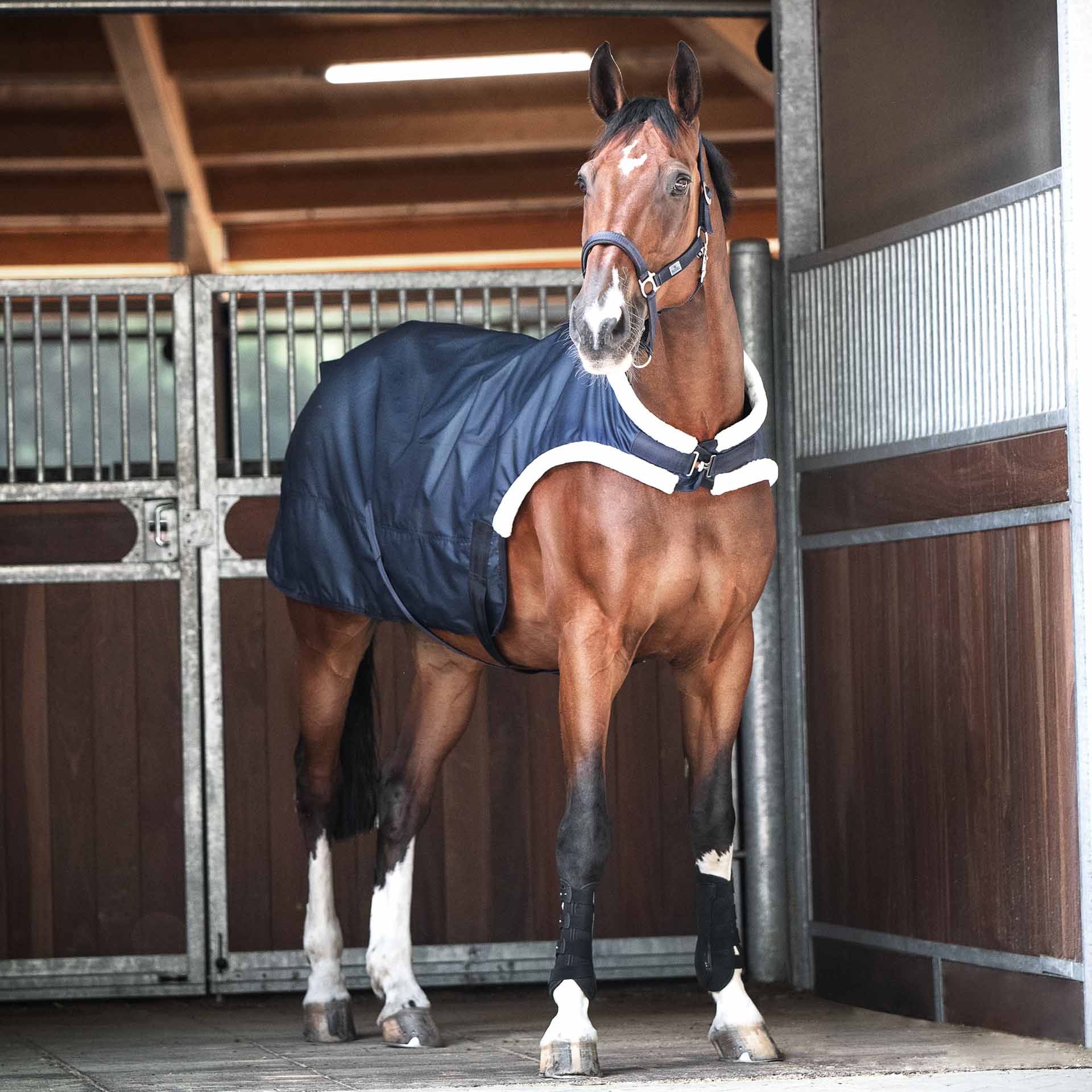 BUSSE Horse-Trainer Rug TRAINER 50 125 navy