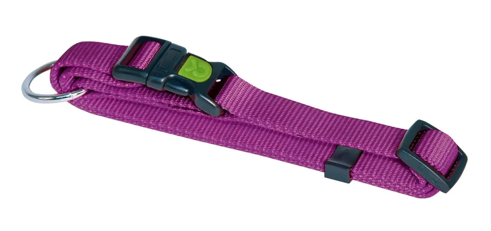 Dog Collar Miami