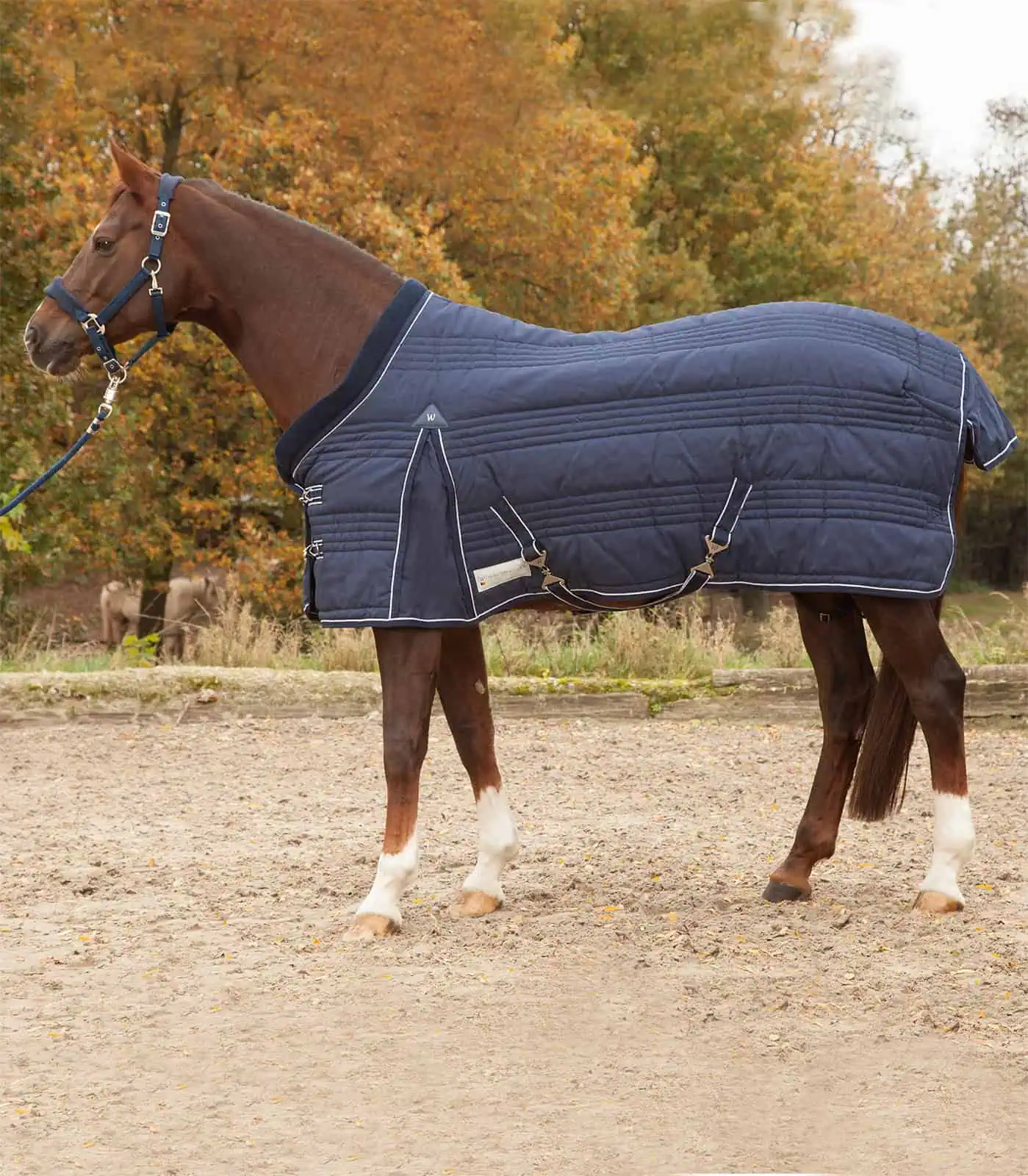 COMFORT Stable Rug Line, 200 g night blue 135