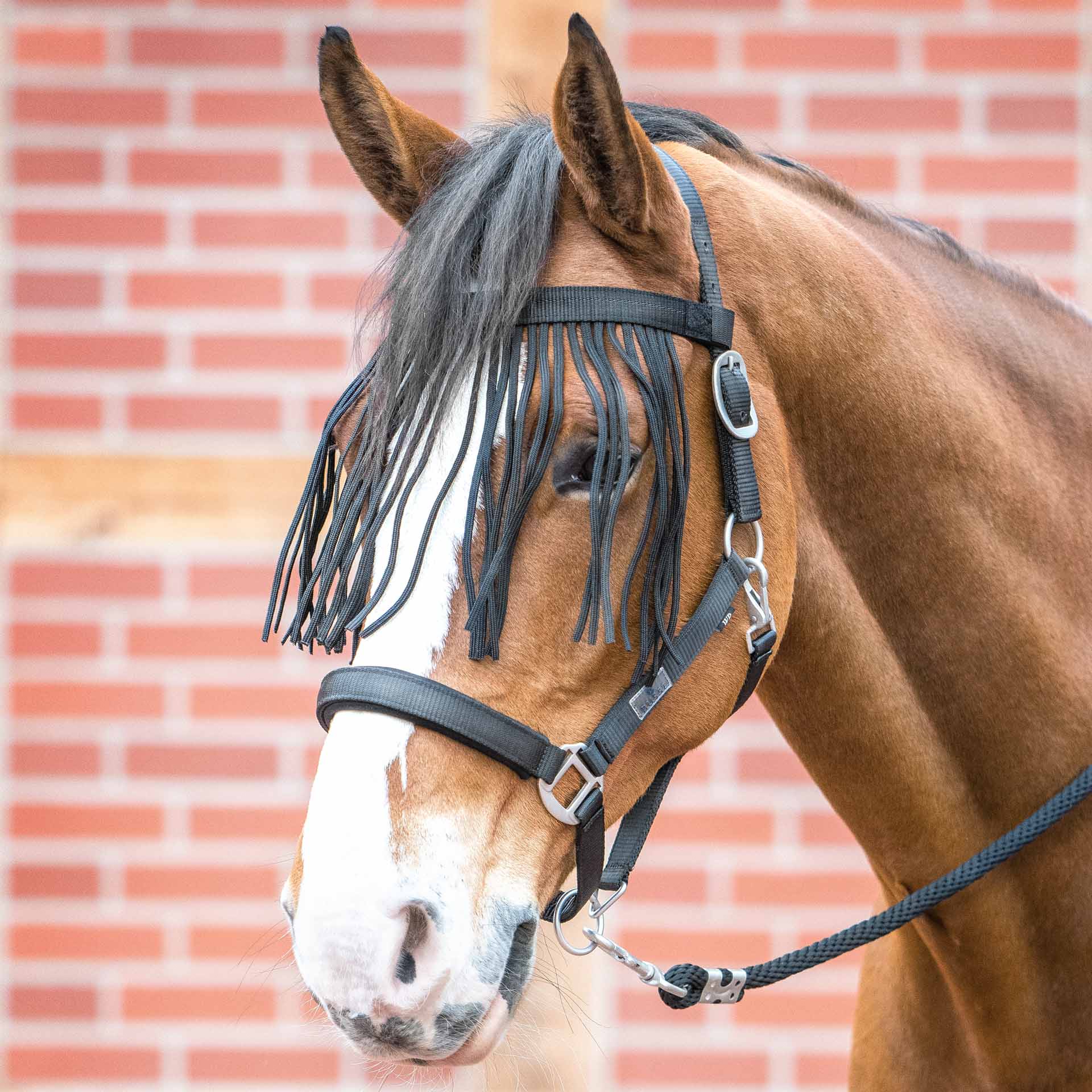 BUSSE Flystring Browband VISBY II Shetty black