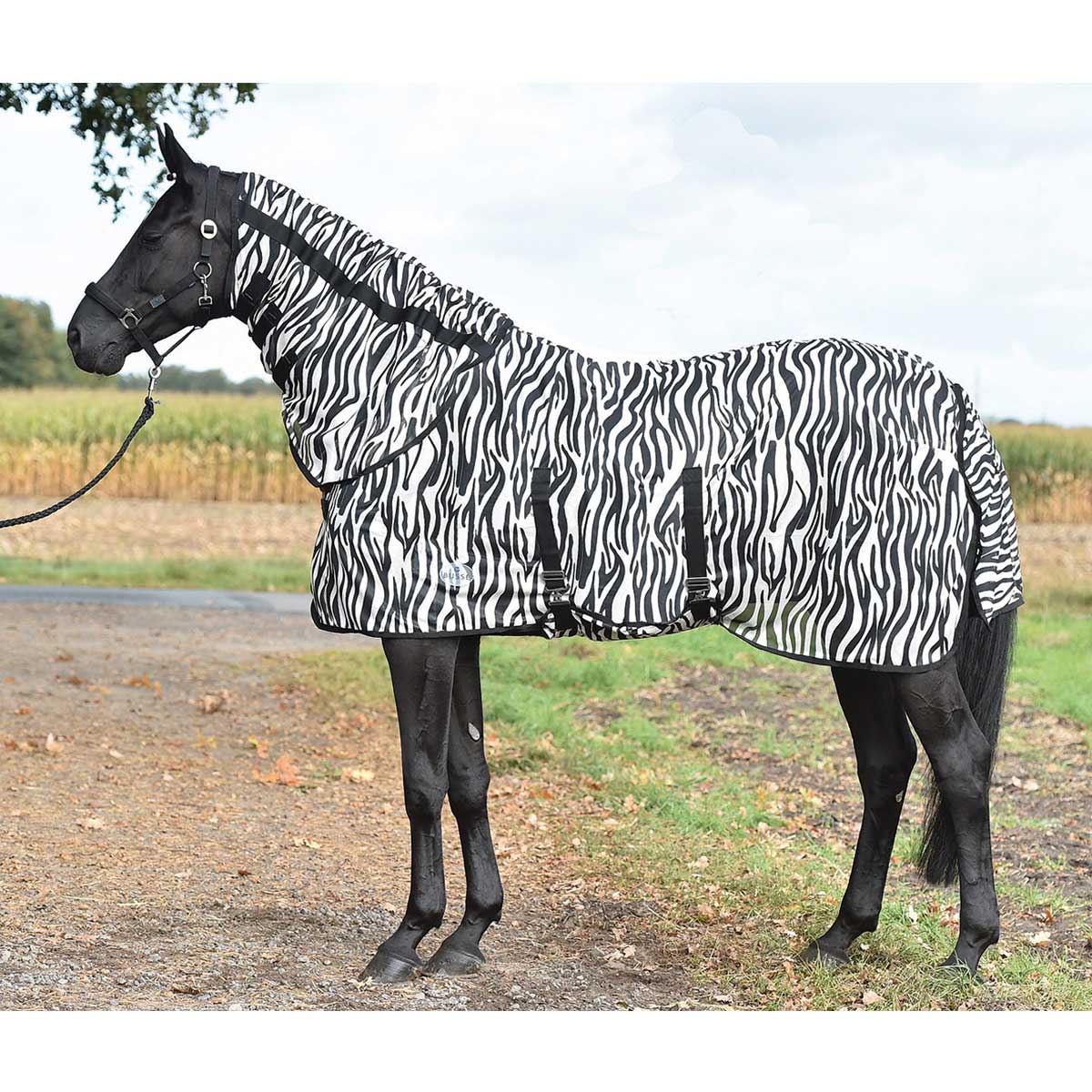 BUSSE Paddock Fly Sheet ZEBRA, Belly-Cover 125