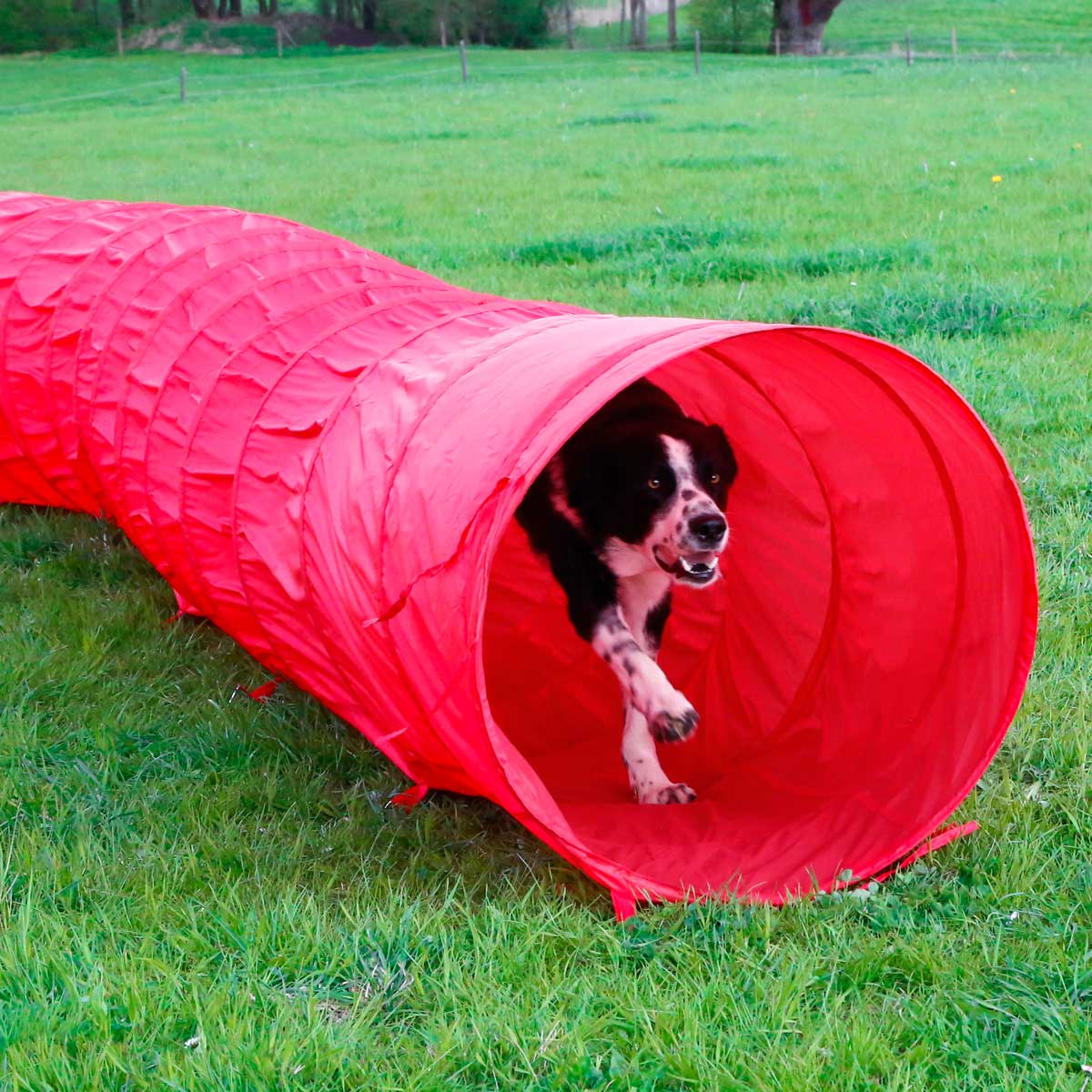 Agility Dog Tunnel 5m
