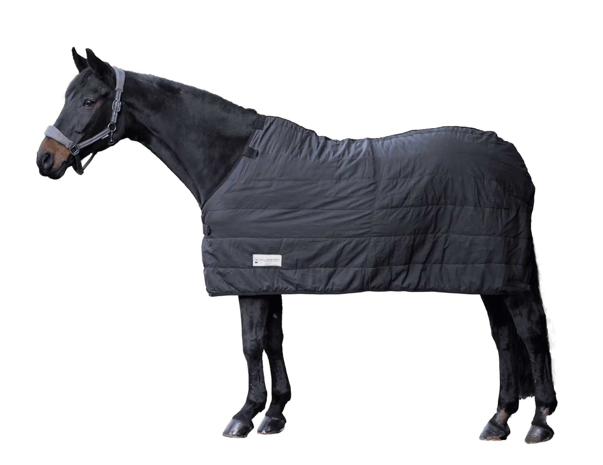 Thermal Underrug, 200 g black 145