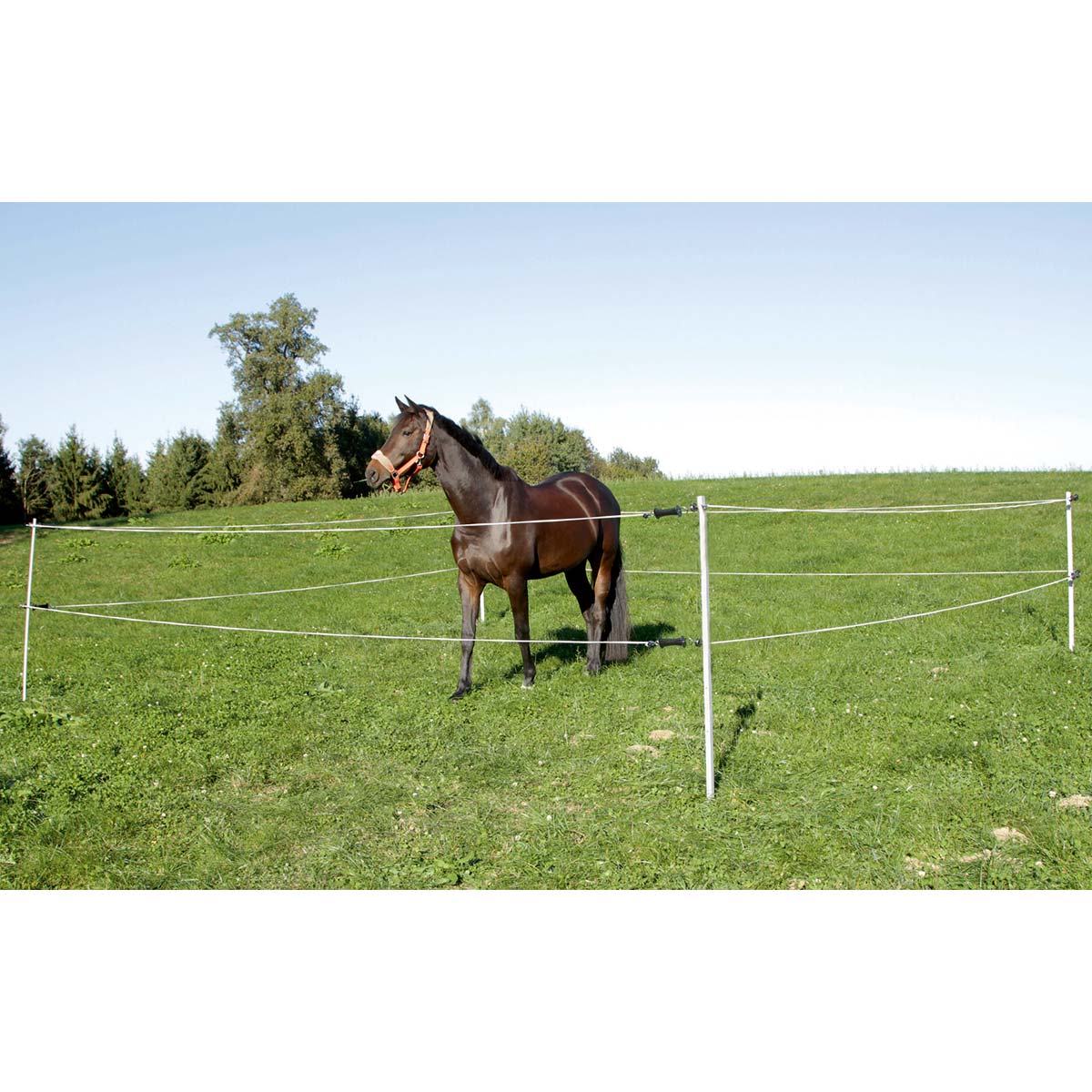 Tournament/Paddock Set 7x7 m