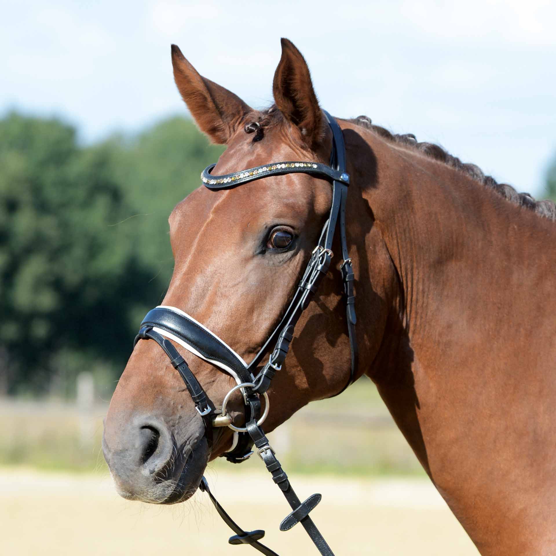 BUSSE Bridle COMFORT PLUS Pony black-and-white