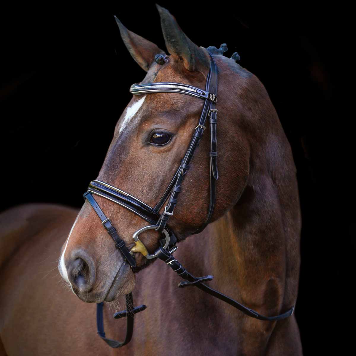 Snaffle Chester incl. web bridle reins