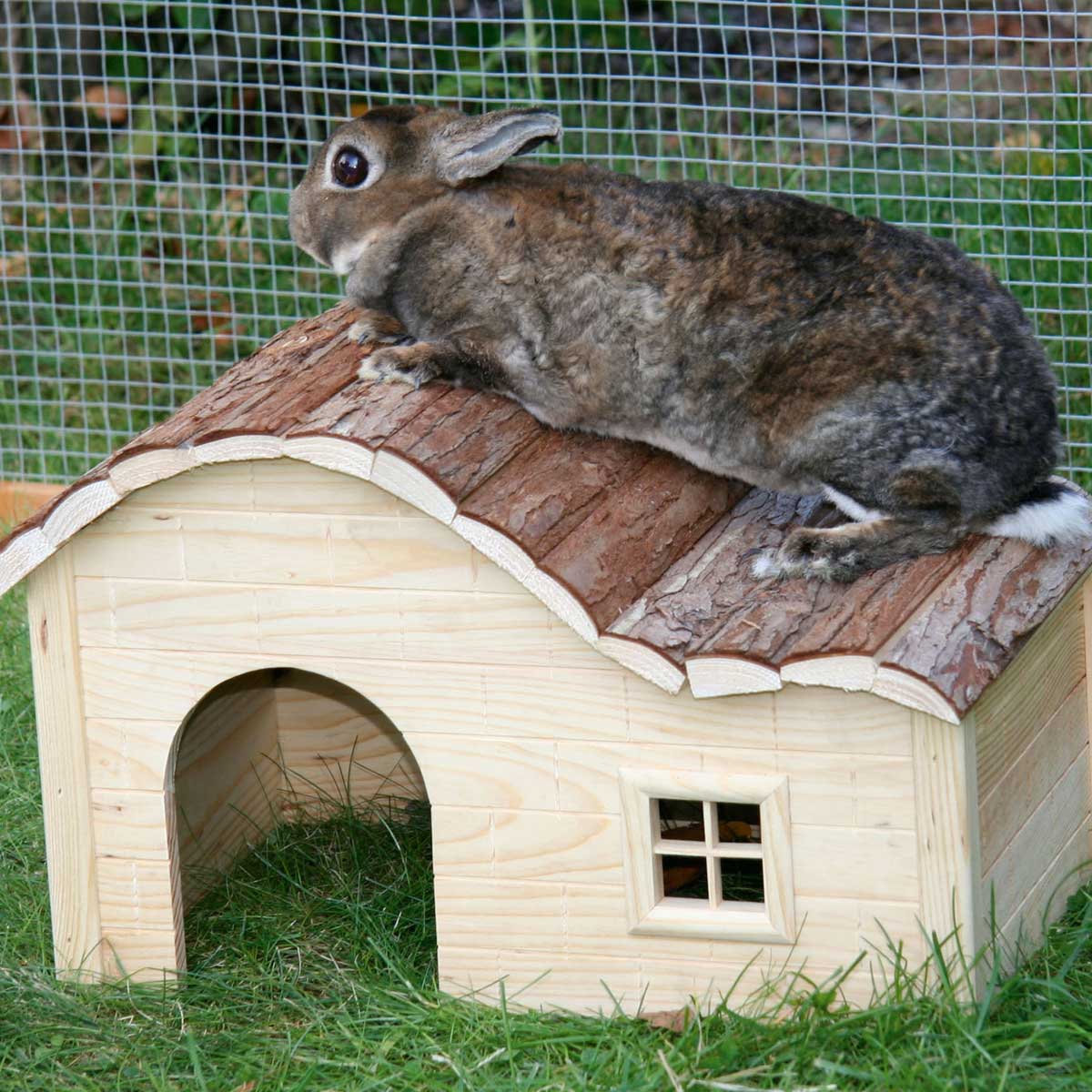 NATURE PLUS House with gently curved roof 30 x 20 x 20 cm