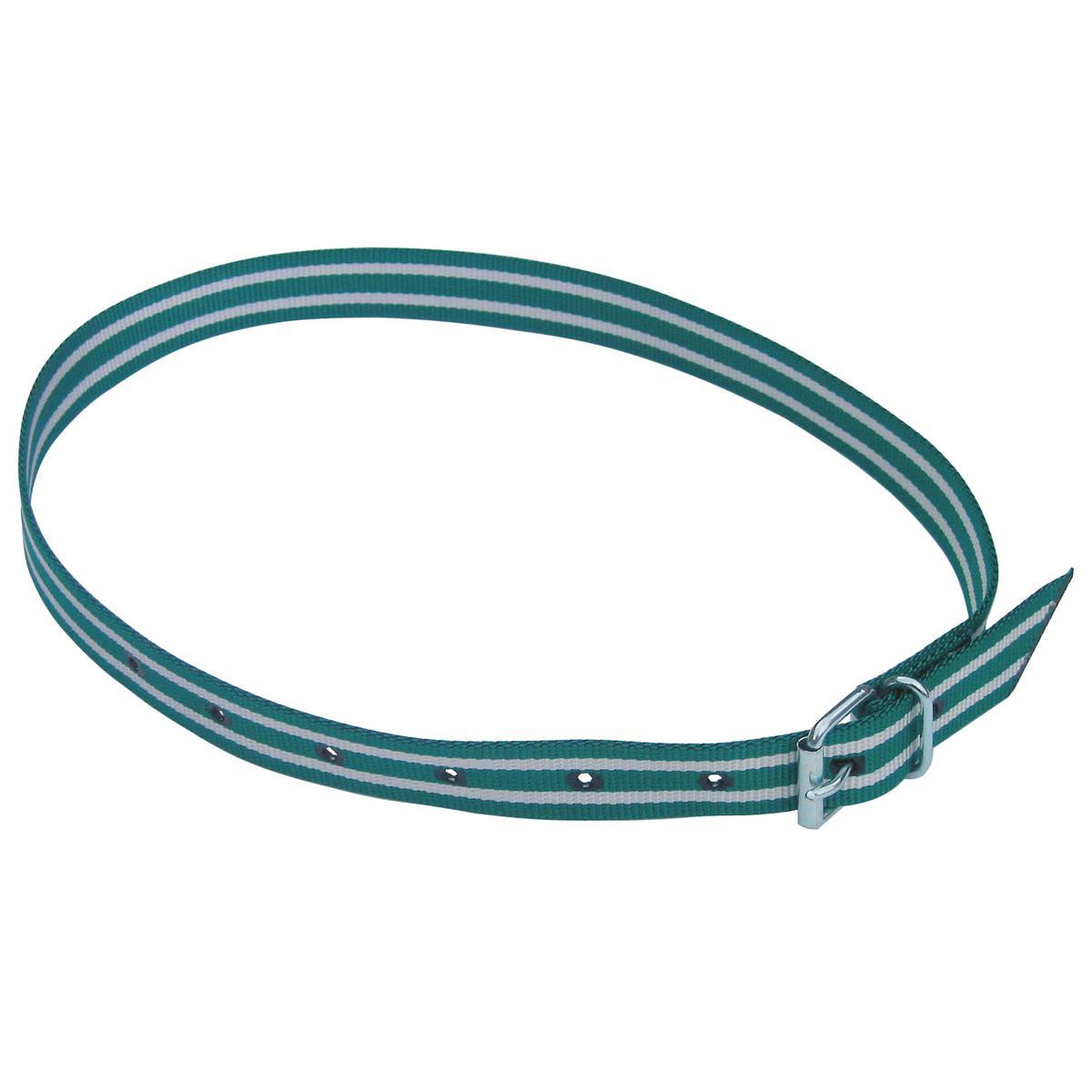 Marking collar cattle identification