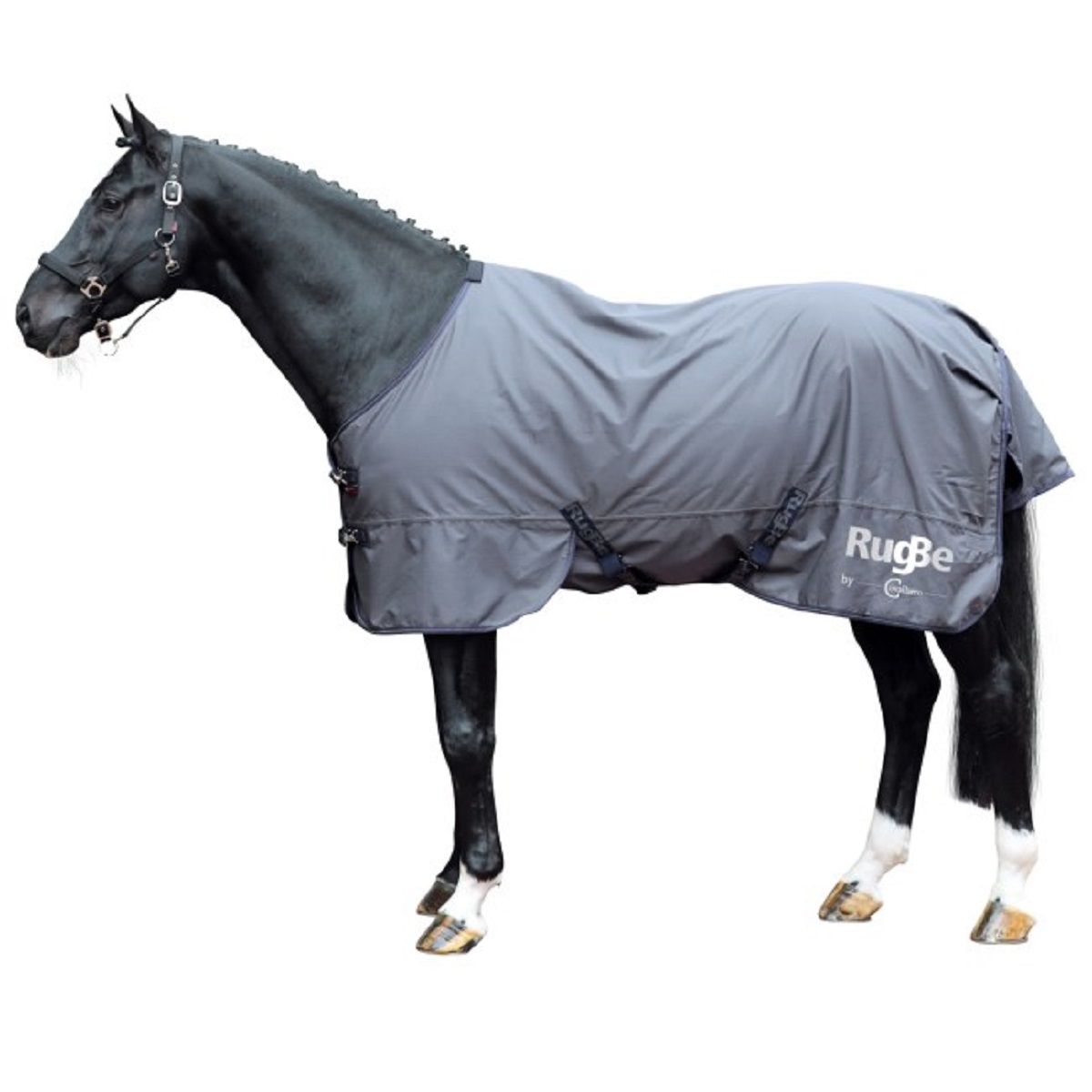 Covalliero Turnout Rug RugBe Zero
