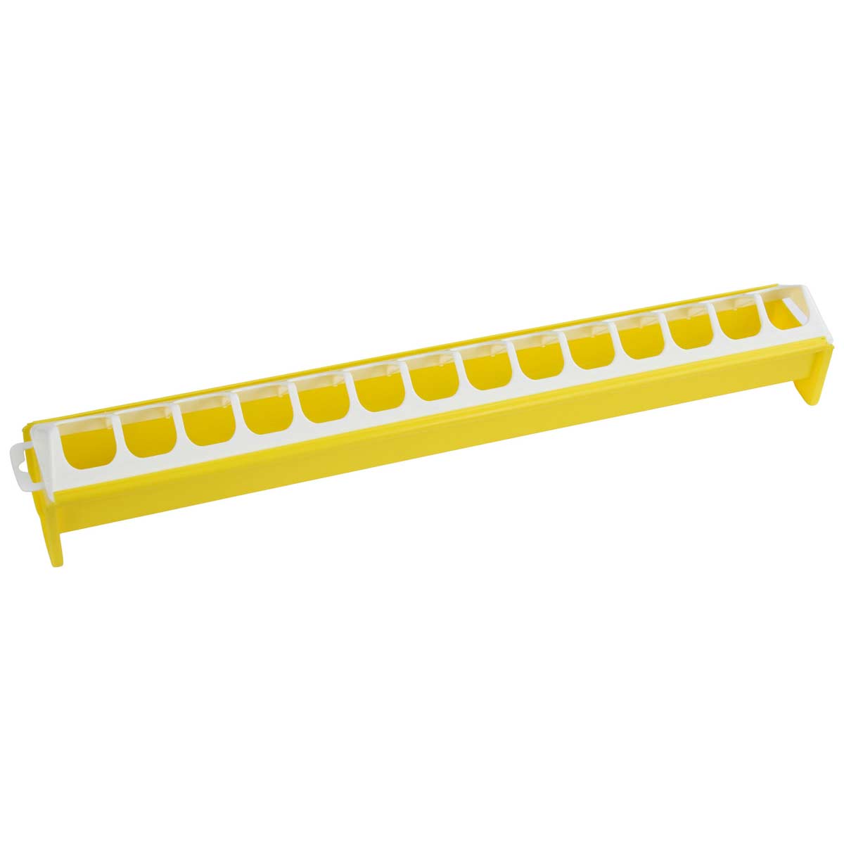 Feeder for chicks 50 x 7 cm