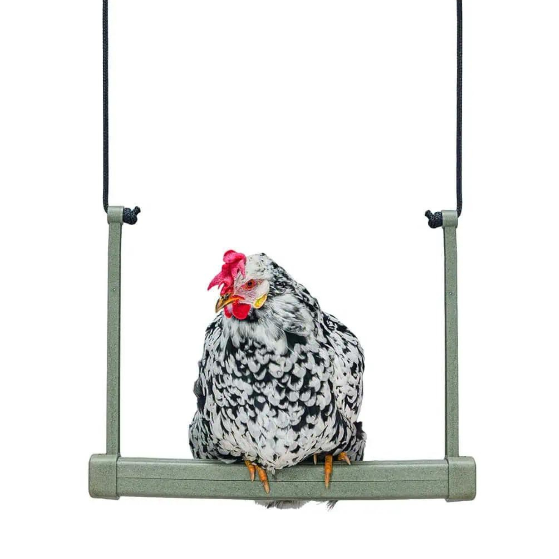 Beeztees Chicken Swing