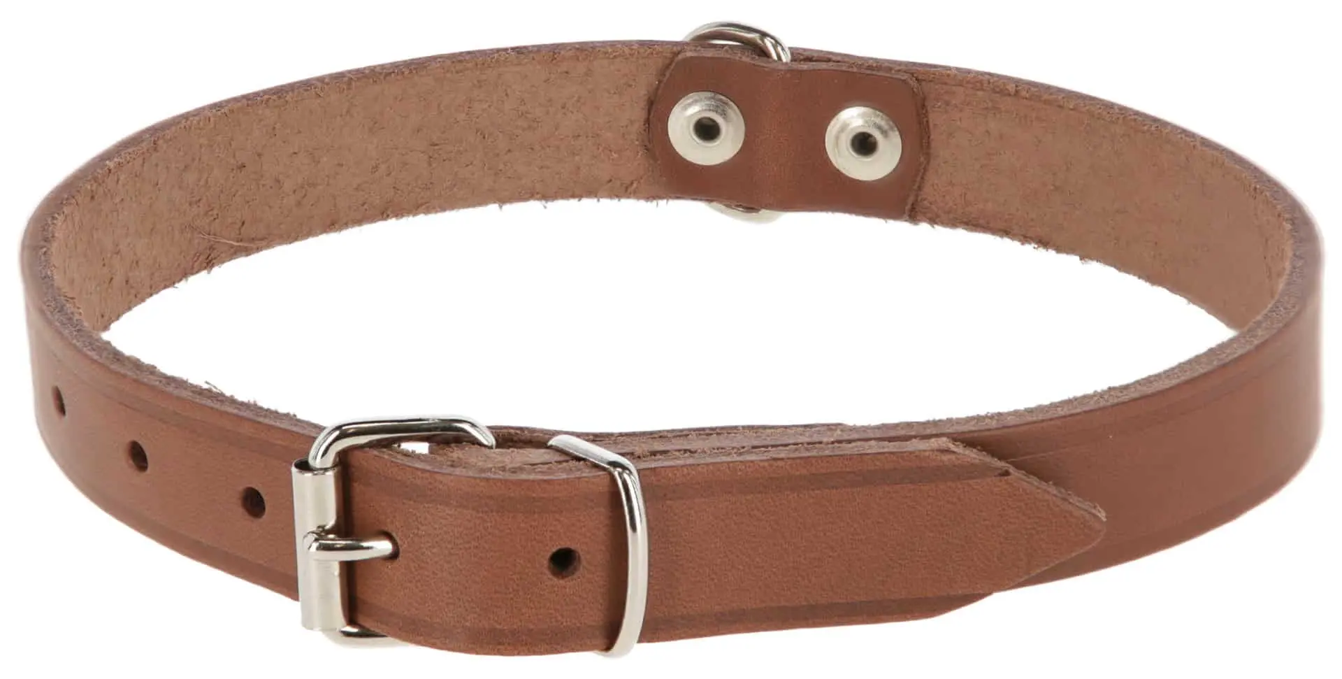 Mexica Collar riveted
