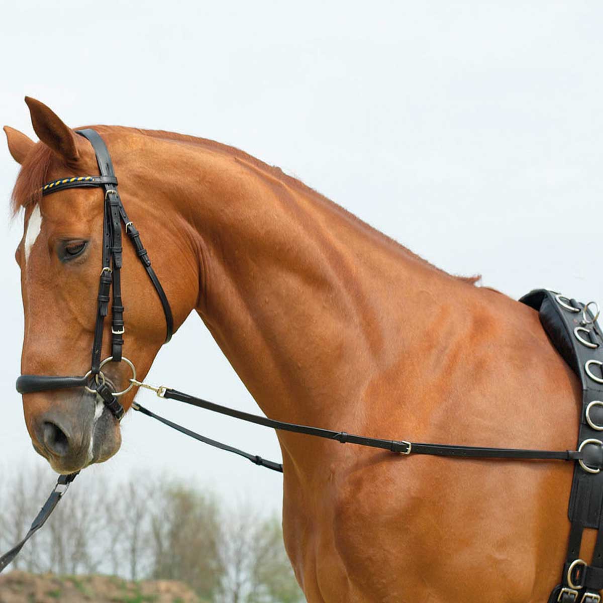Side-Reins BASIC-STARR