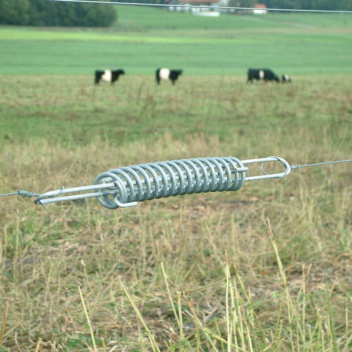 Temperature equalisation spring