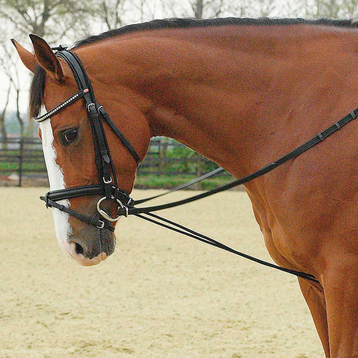 BUSSE Elastic Training Aid GUMMI