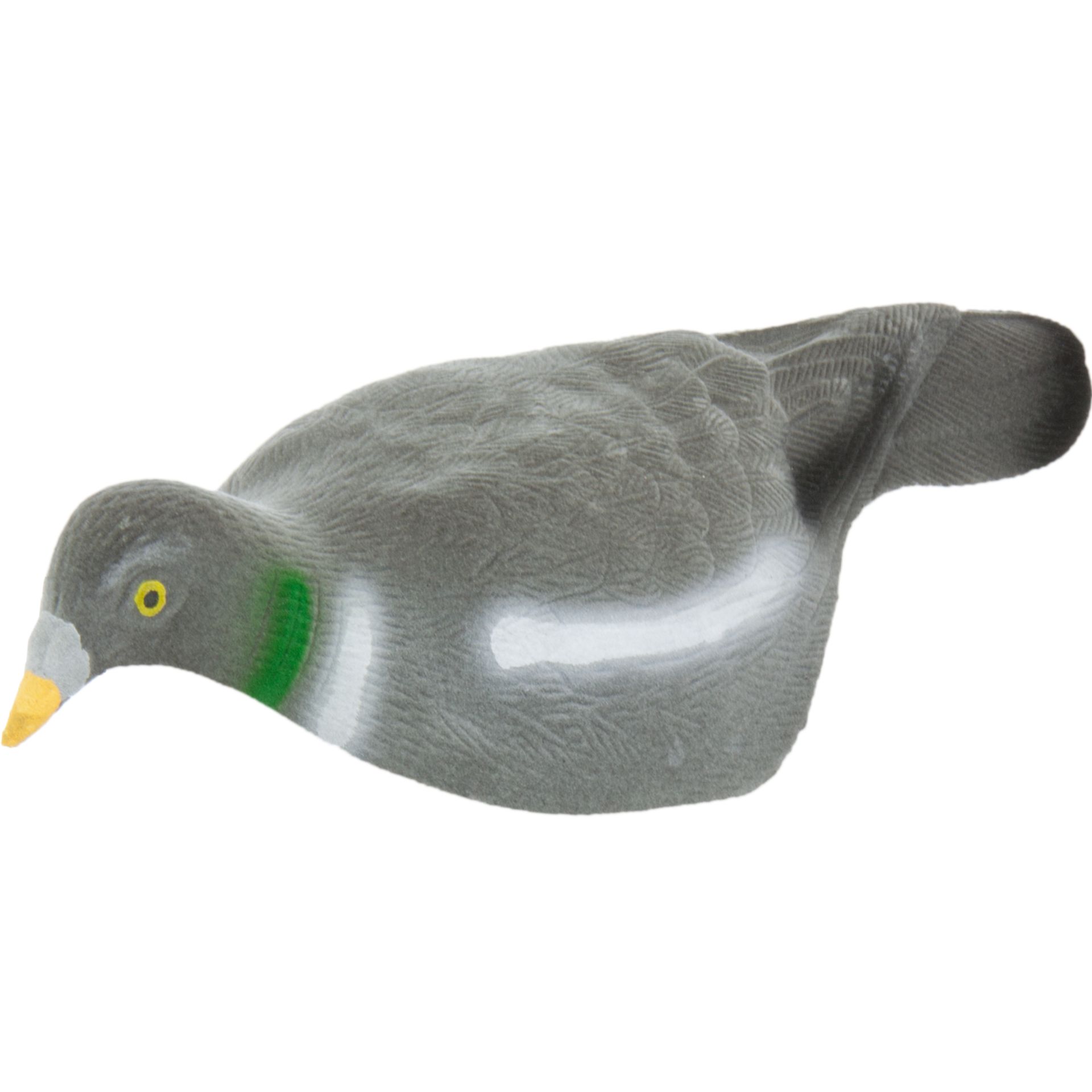 Halfshell Curved Pigeon
