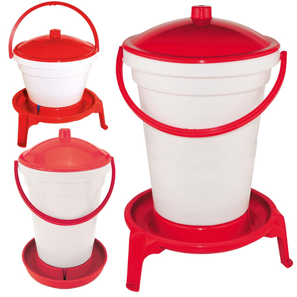Waterer for poultry