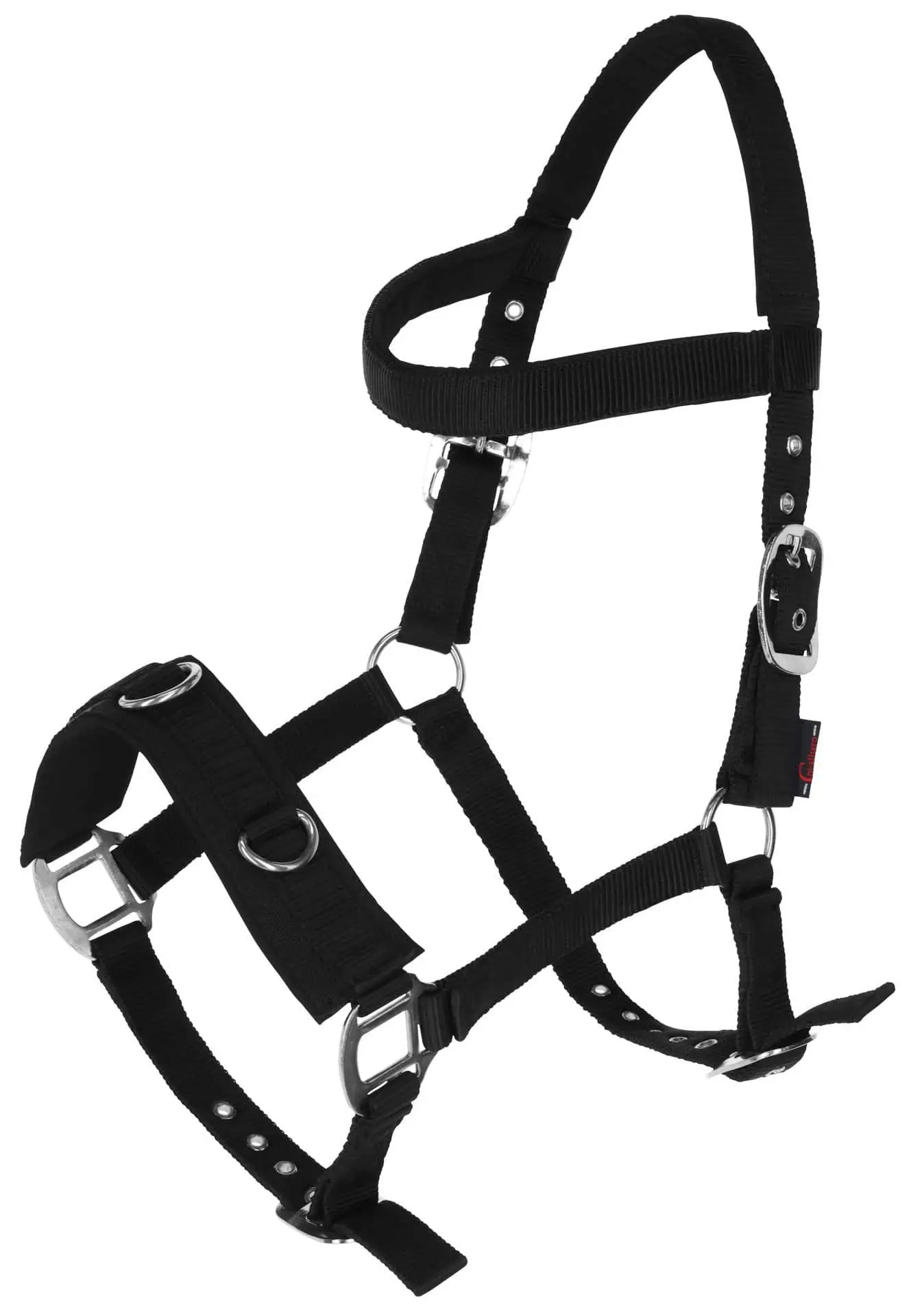 Lunging Halter Plastic black