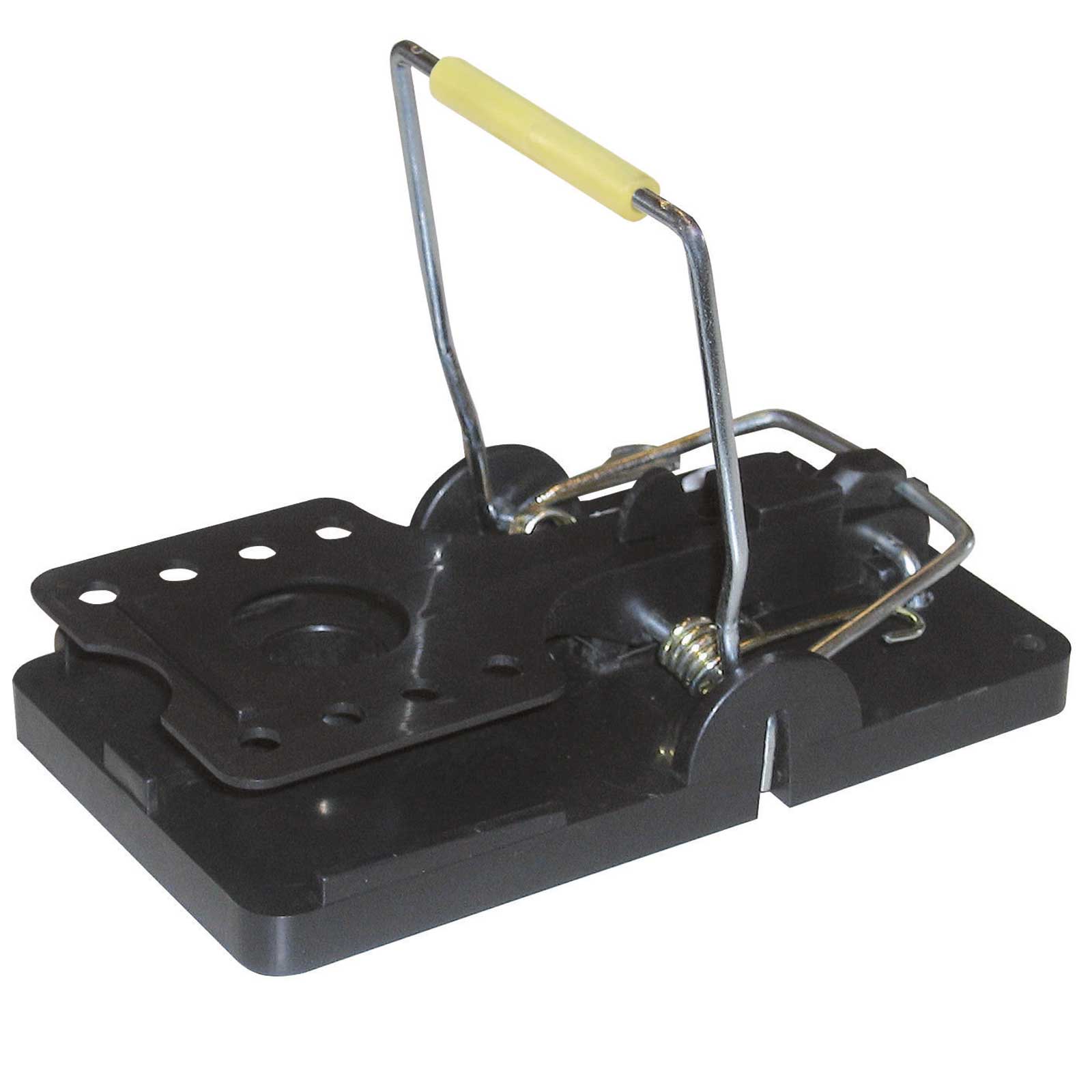 Rat Trap Snapper