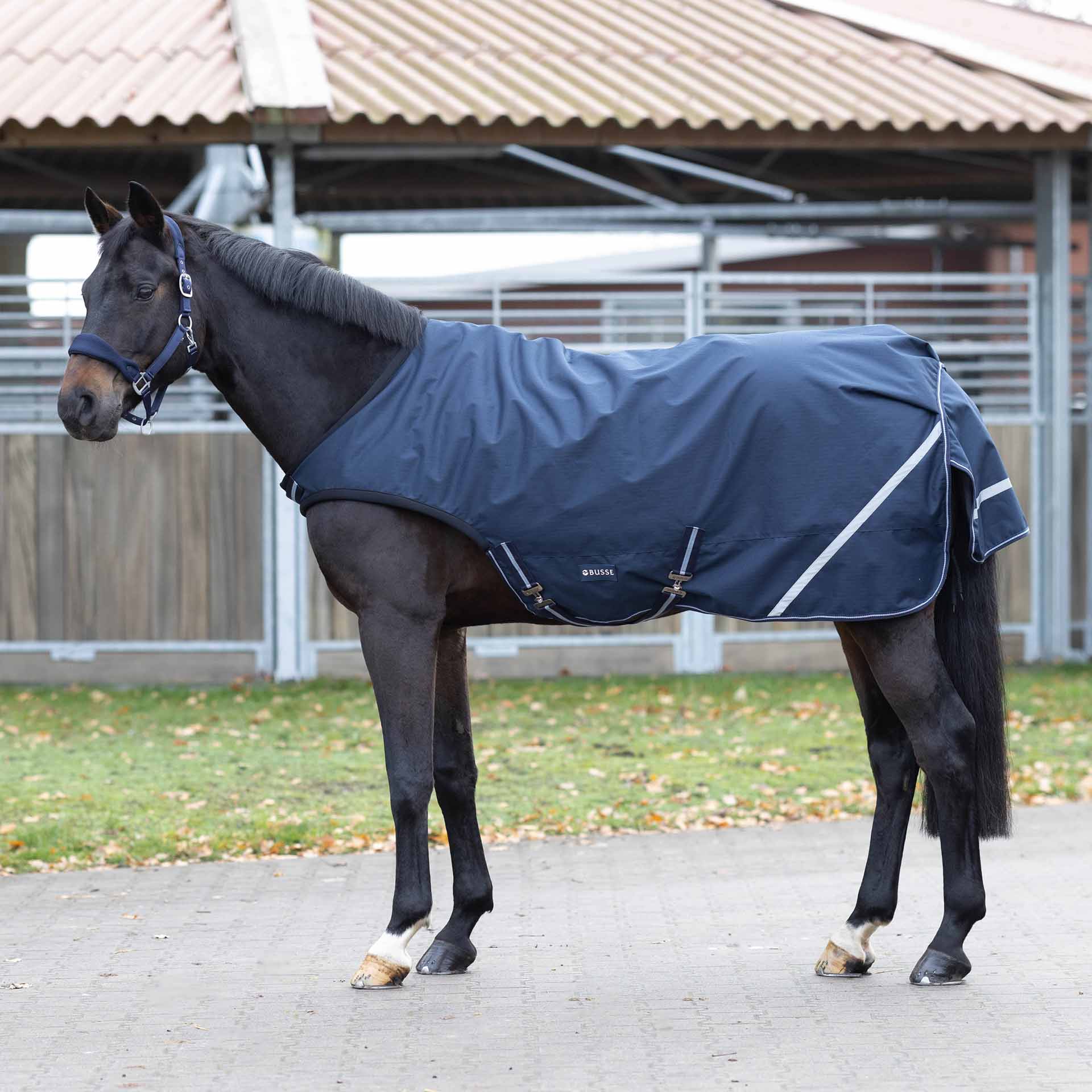 BUSSE Walker Rug RAIN COMFORT 100 125 navy