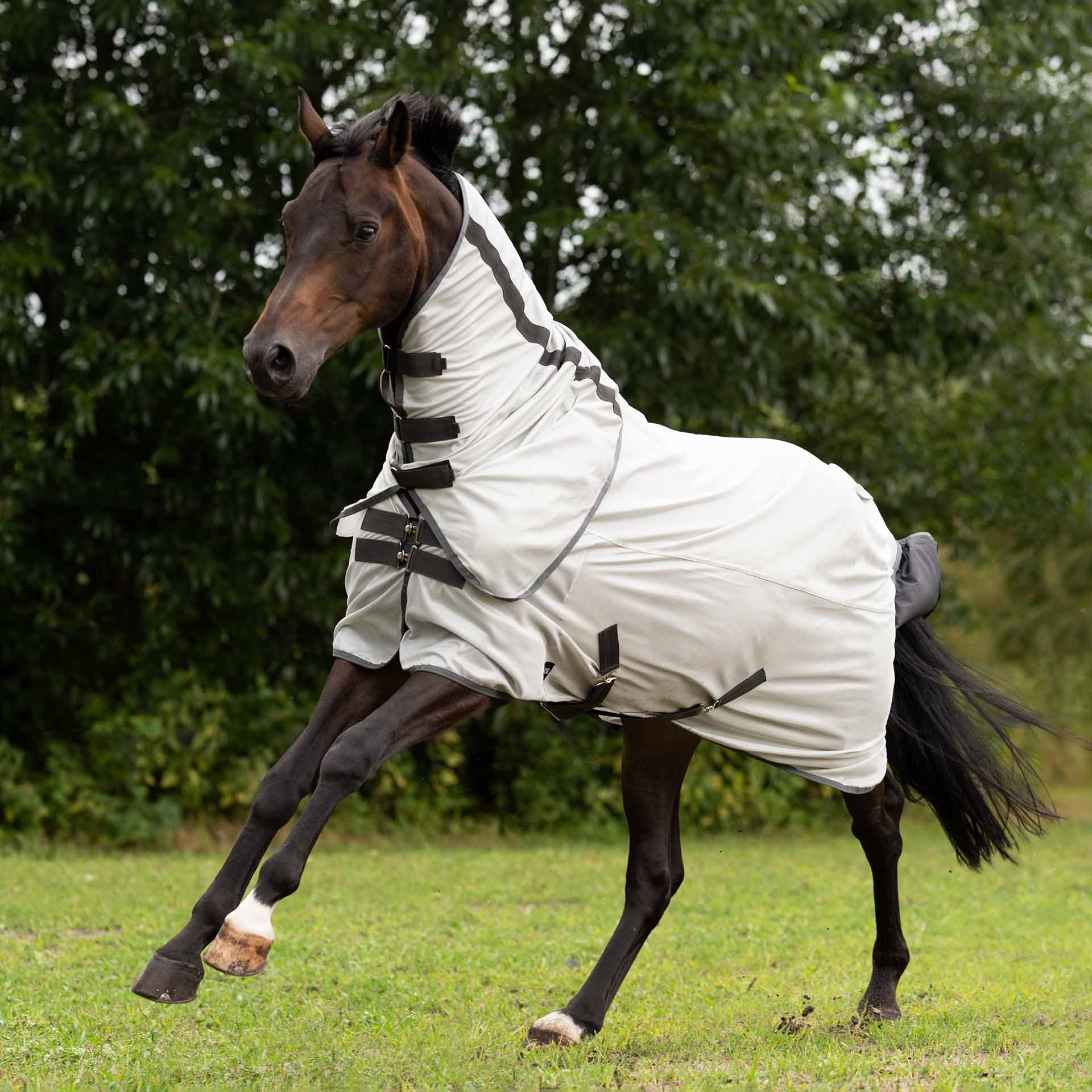BUSSE Turnout Fly Sheet SUNSHINE II 95 silver