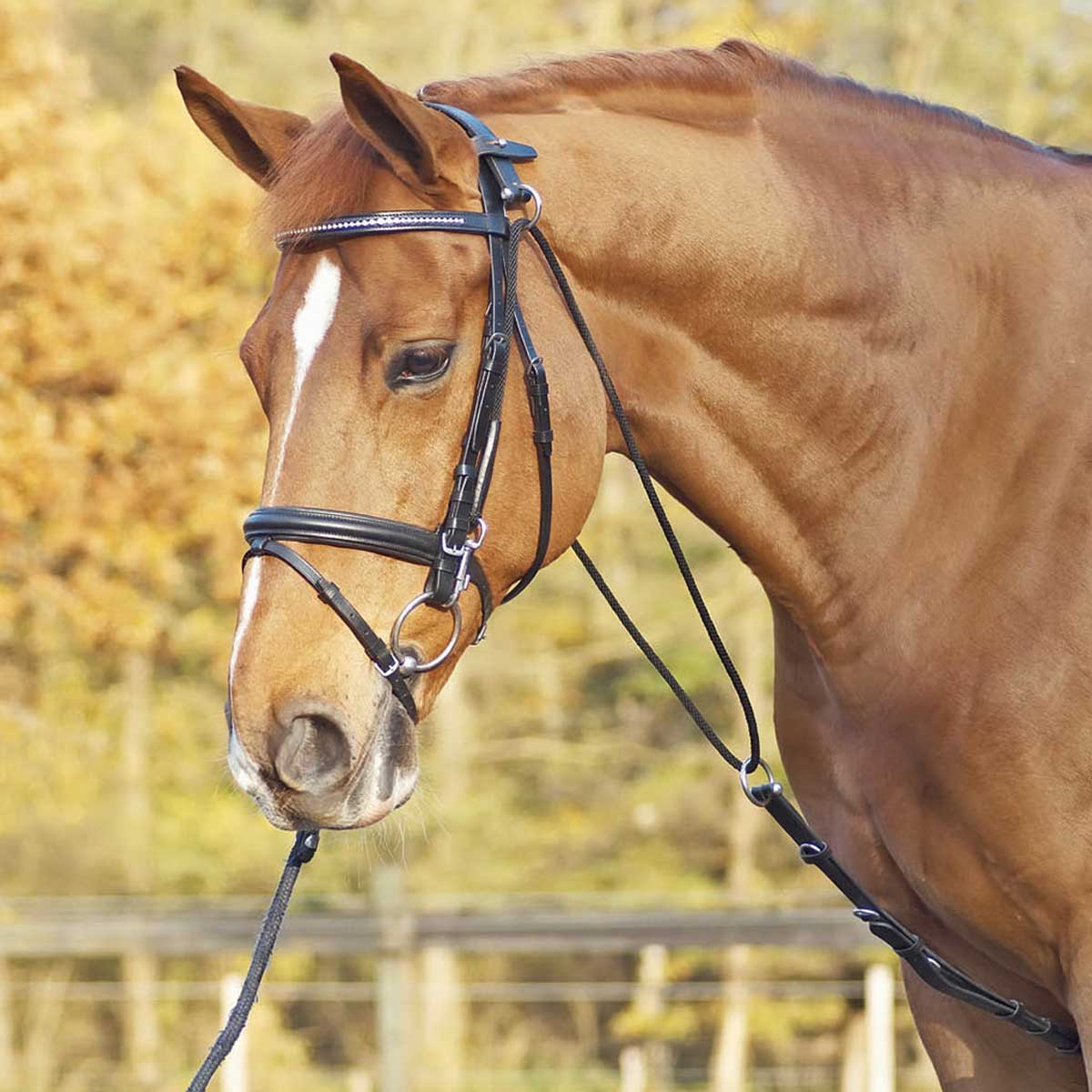 BUSSE Chambon BASIC