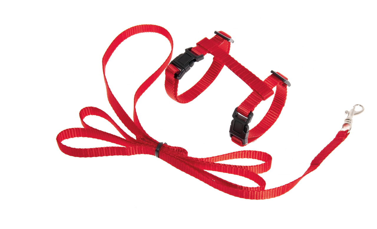 ART SPORTIV HARNESS+LEASH red,10mm, LEASH 120 cm