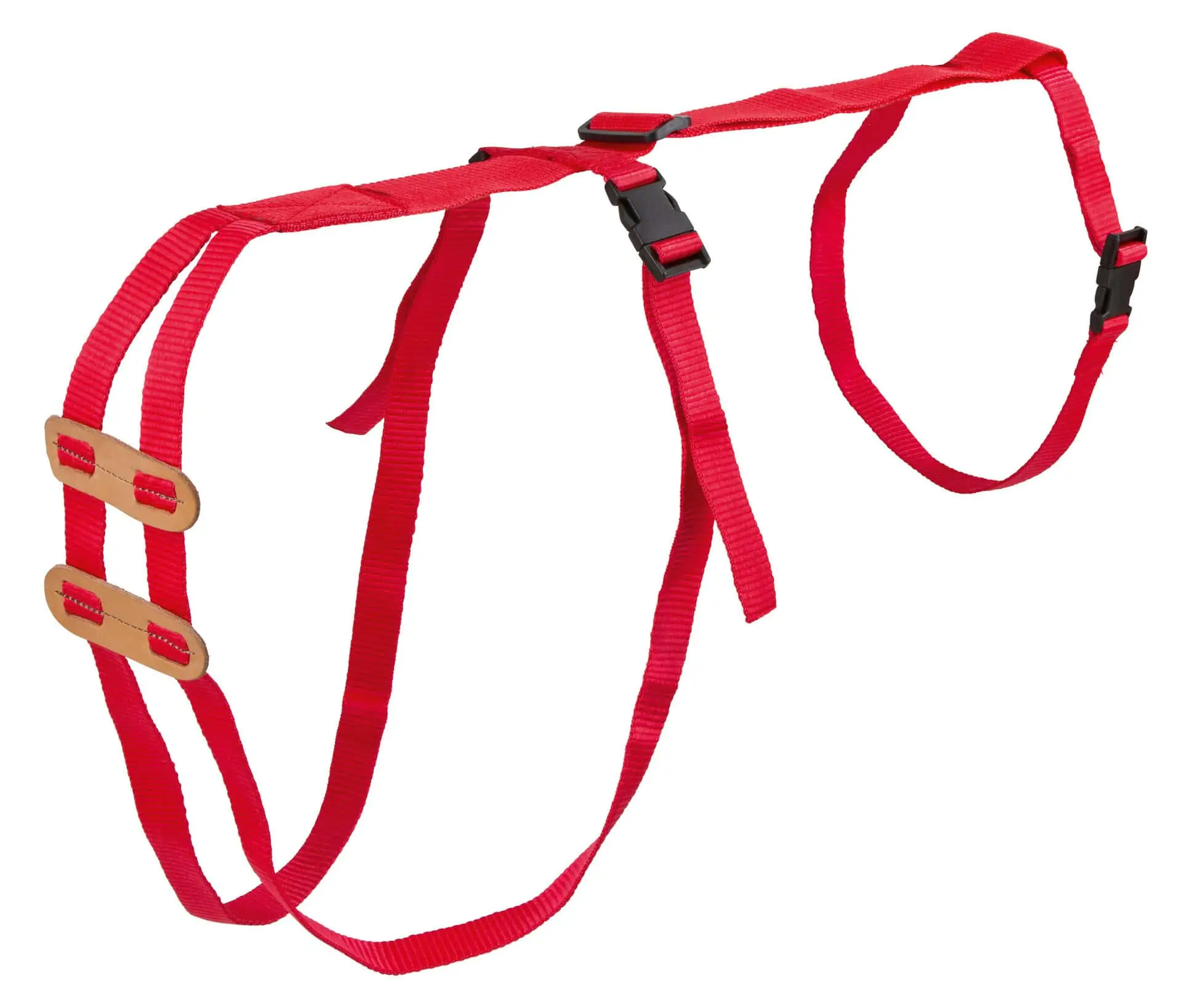Prolaps Harness for sheep