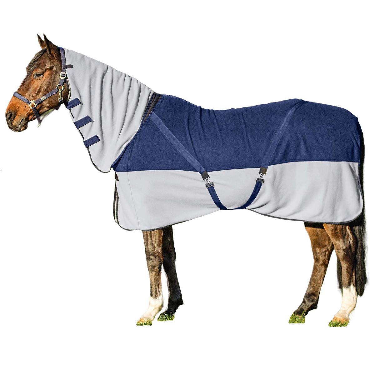 BUSSE Cooler COMFORT PLUS